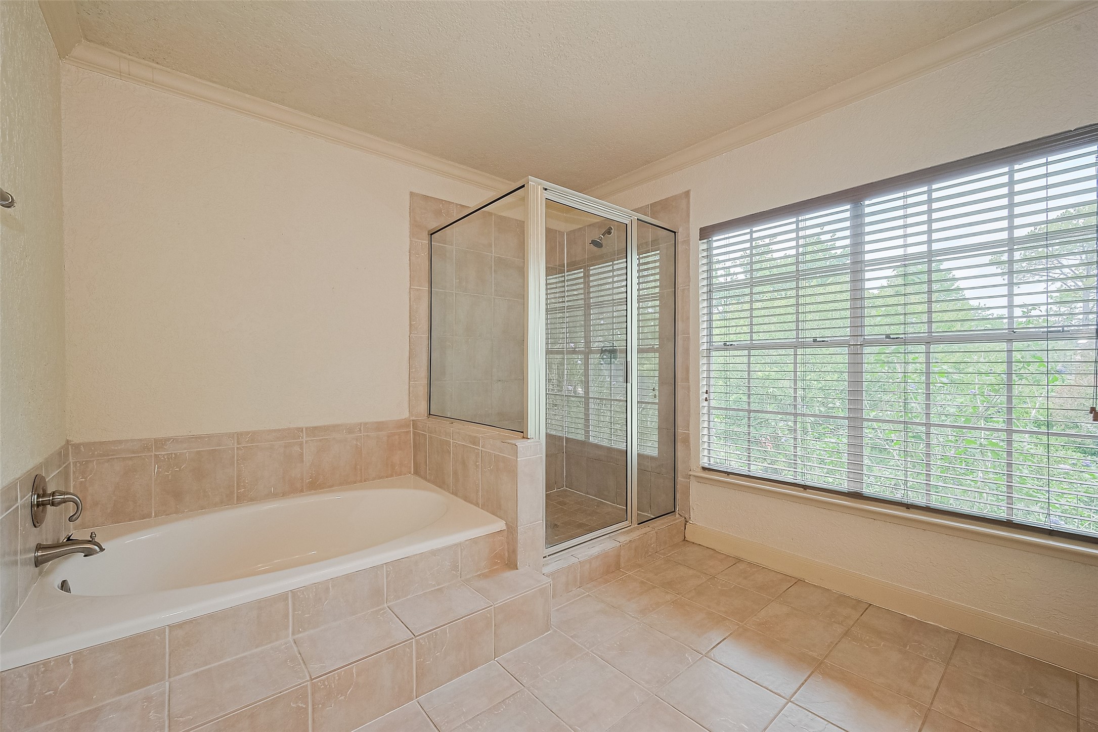 Separate tub and shower in primary bath