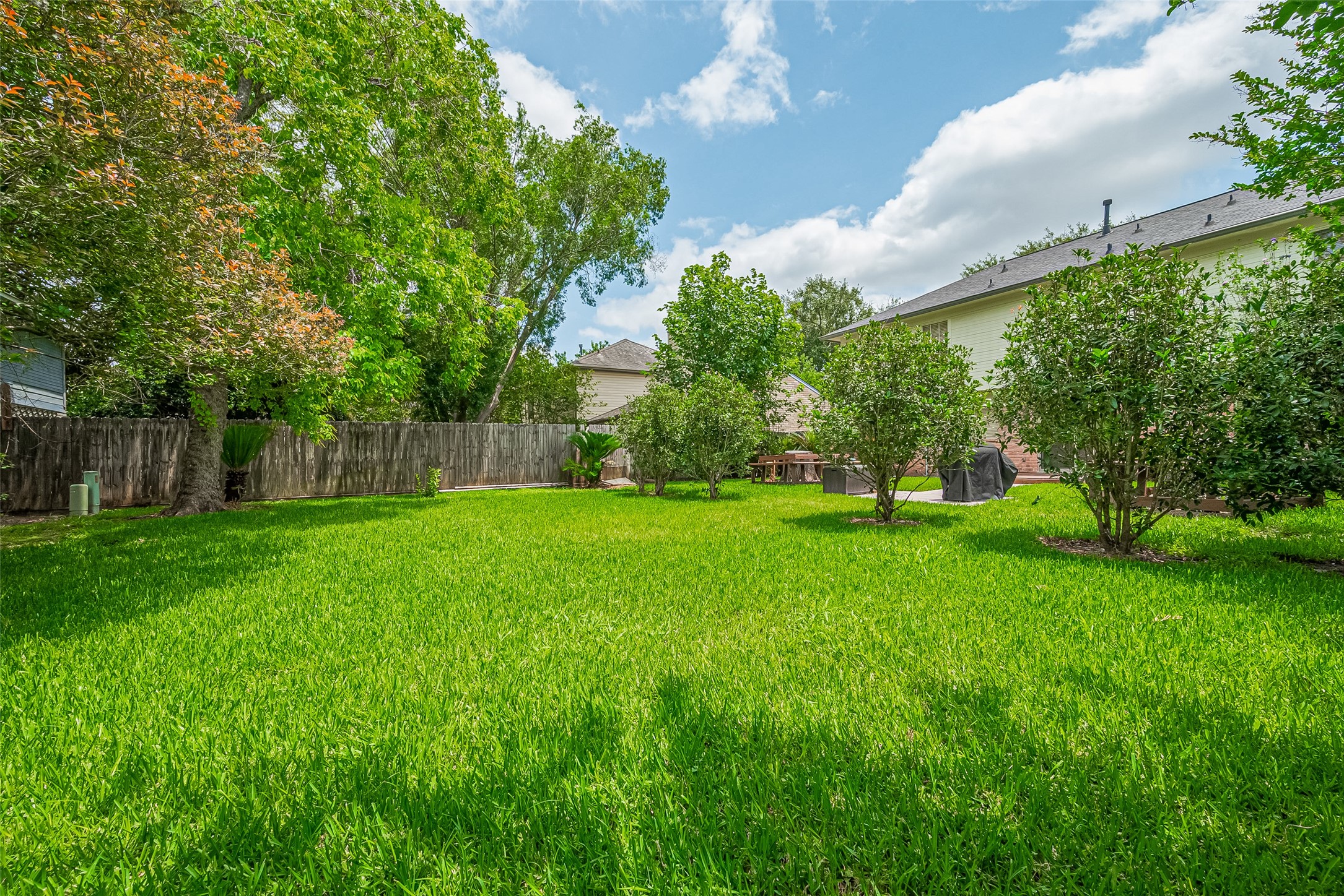 Spacious lush green backyard