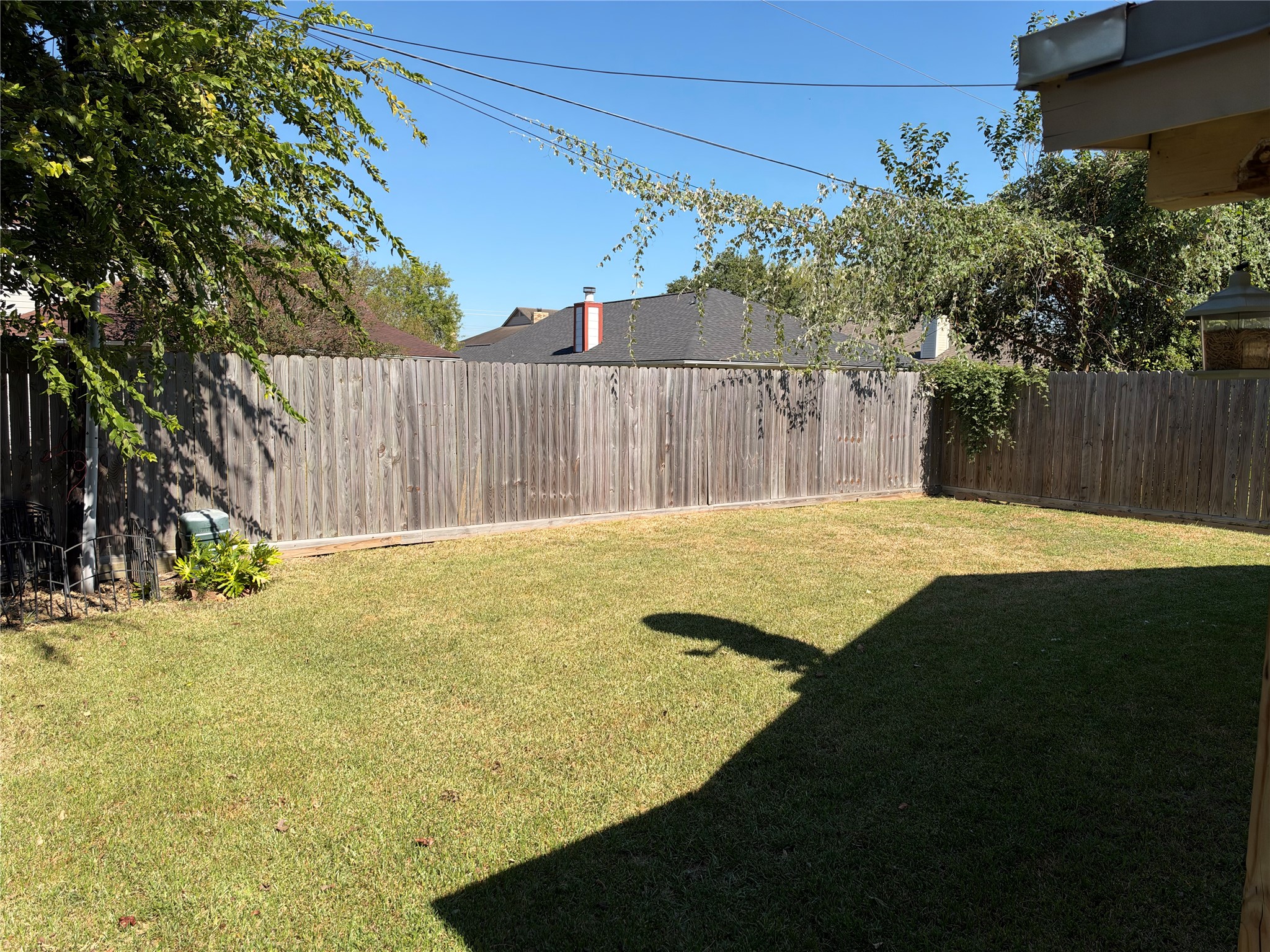 Spacious Backyard