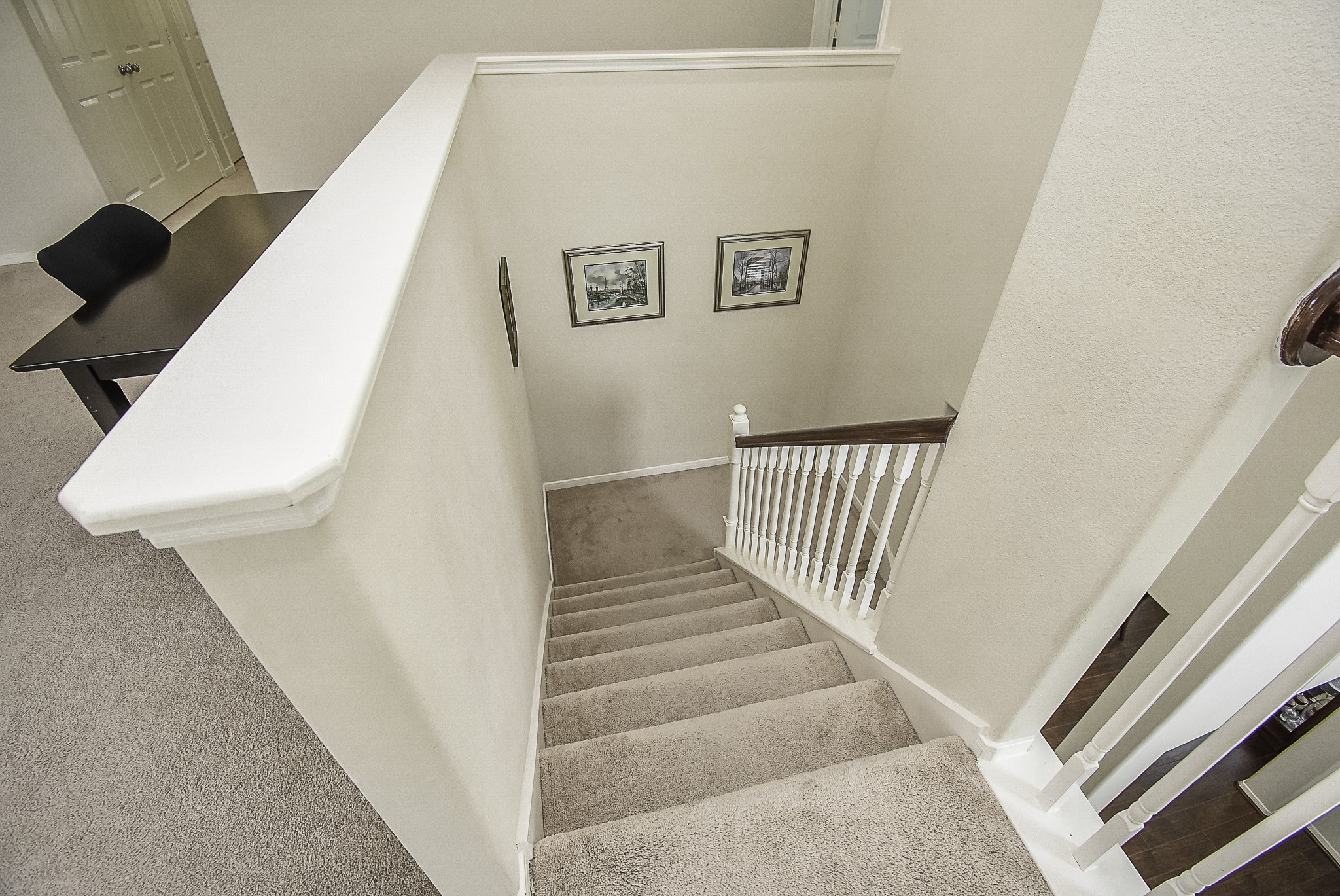 View from atop this majestic flight of stairs!