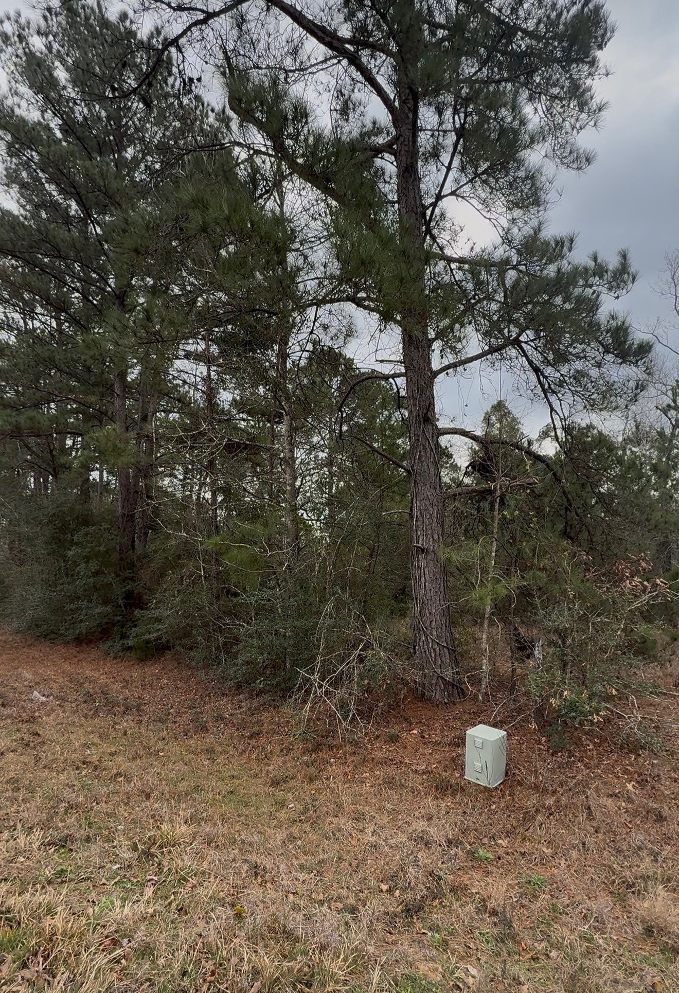 24159 Weeren Road, Montgomery, TX 77316