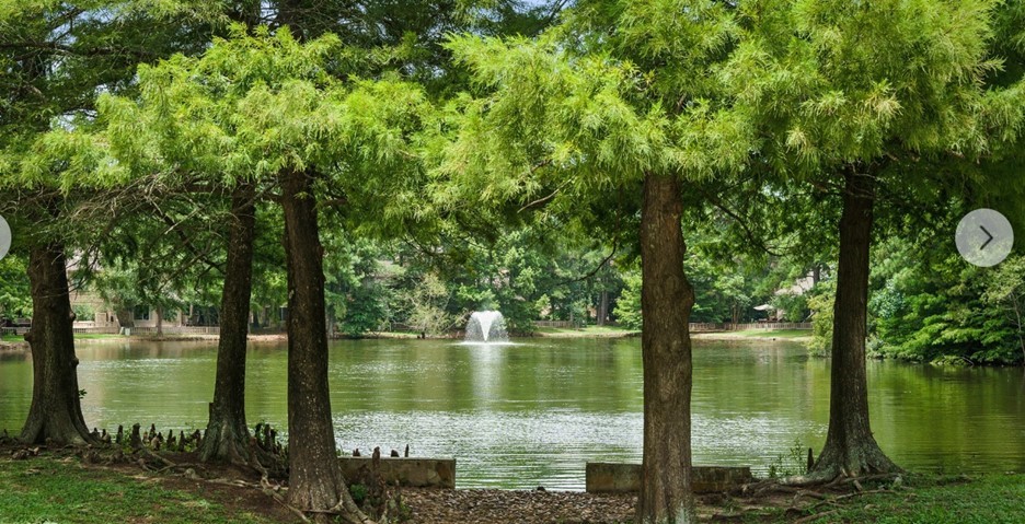 Beautiful Sylvan Forest duck pond with stocked fishing just minutes away!