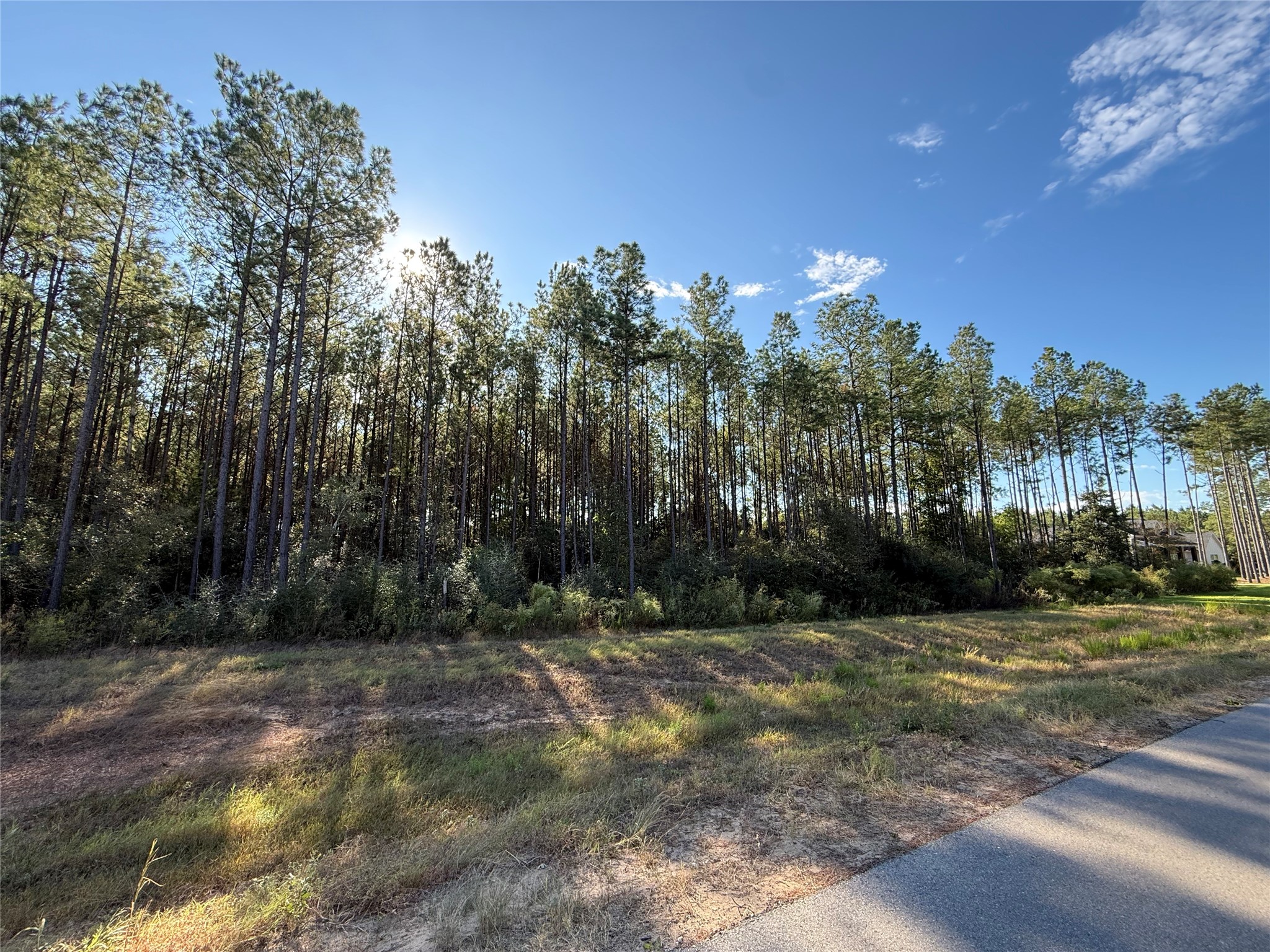 15895 Ridge Oak Road, Willis, TX 77378 15895 Ridge Oak Road, Willis, TX 77378
