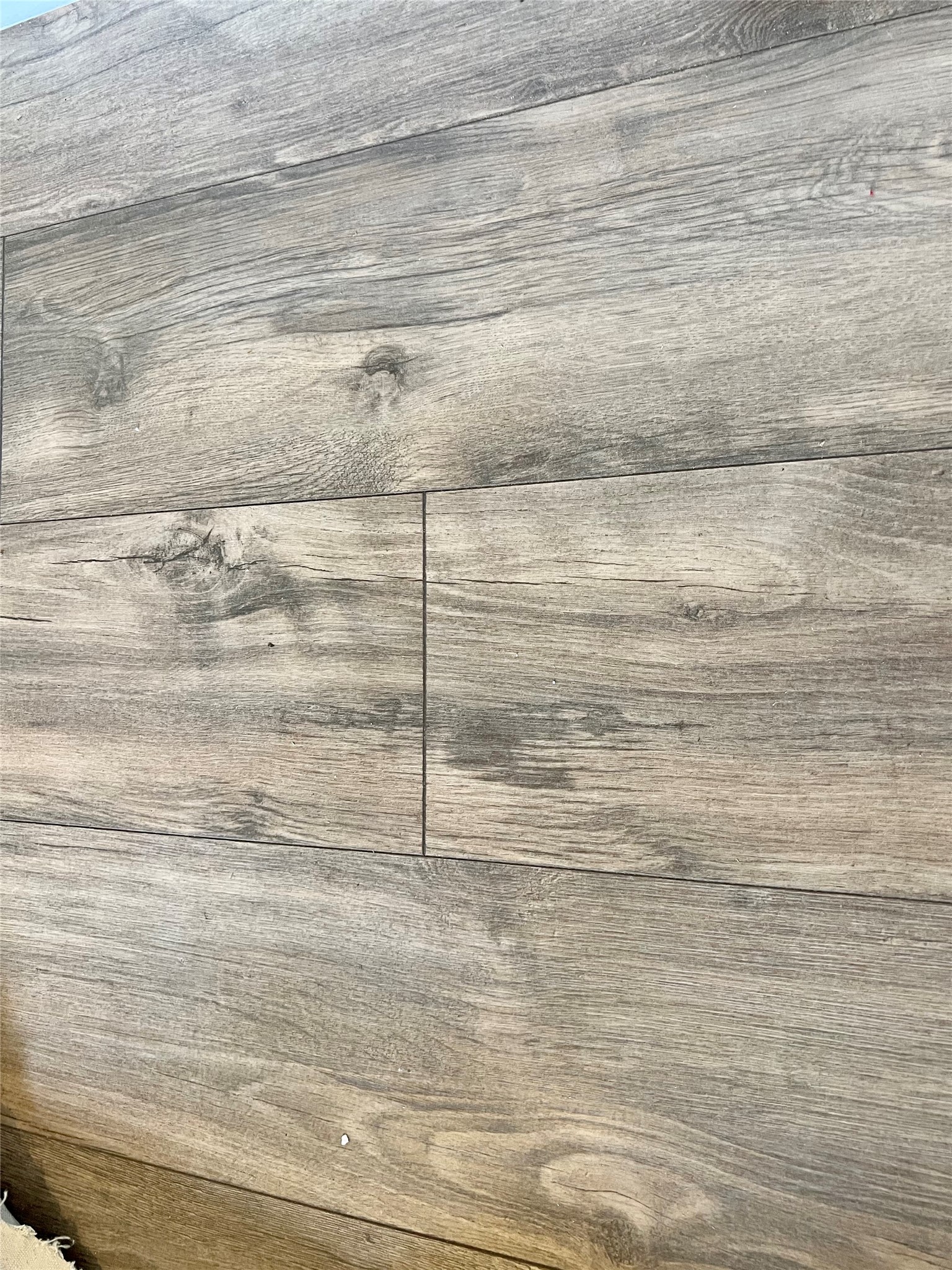 Gorgeous Laminate flooring in Primary bedroom suite.