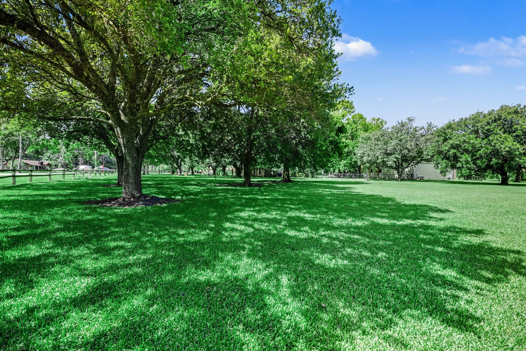 Beauitful Trees Thru out the 3 Plus acreas