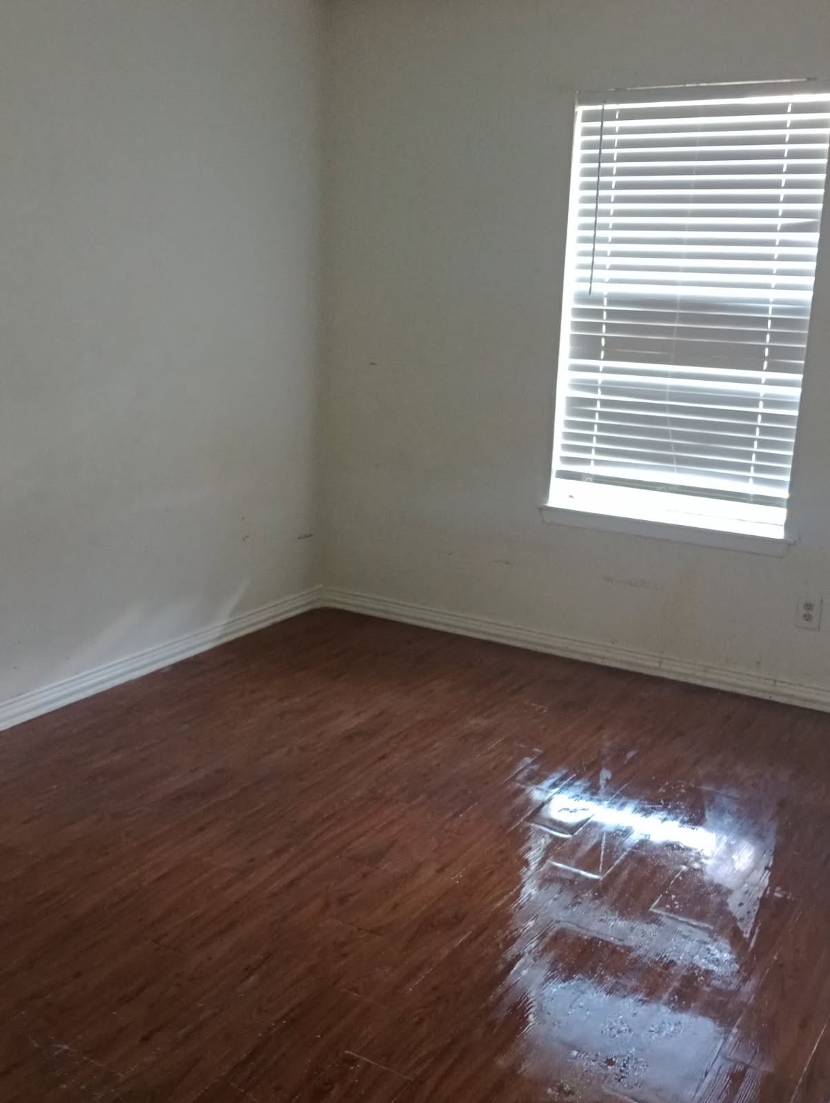14411 Pine Street, Santa Fe, TX 77517