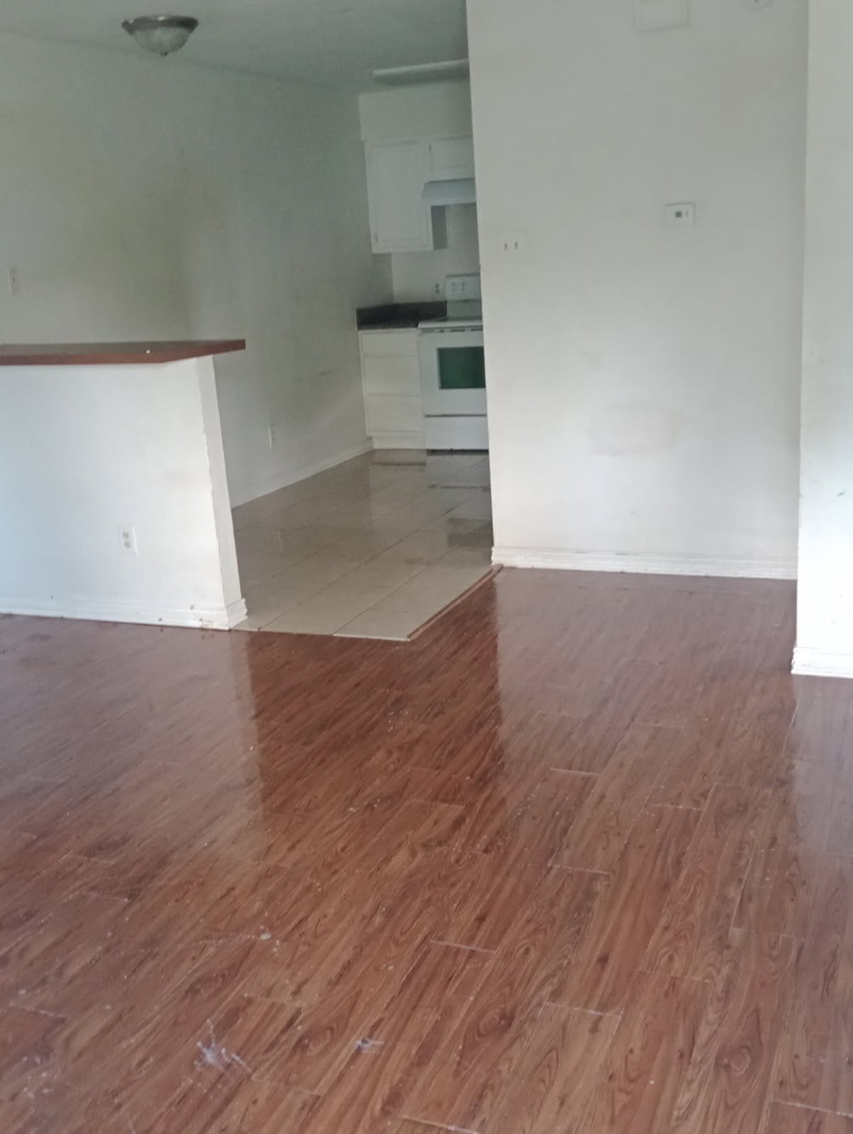14411 Pine Street, Santa Fe, TX 77517