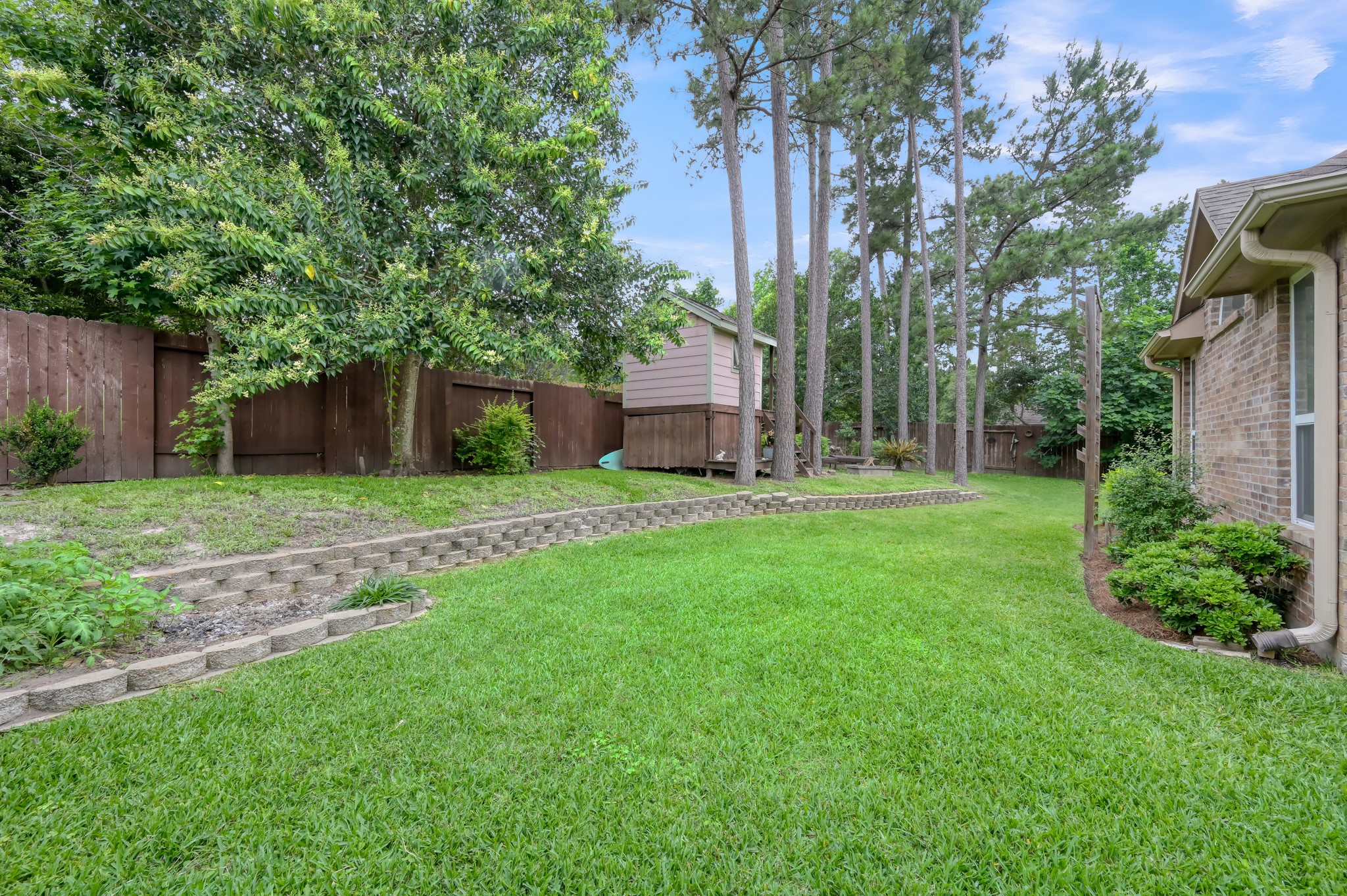 Large backyard with tiered landscaping, towering pine trees, and endless possibilities for outdoor living, gardening, or family gatherings.