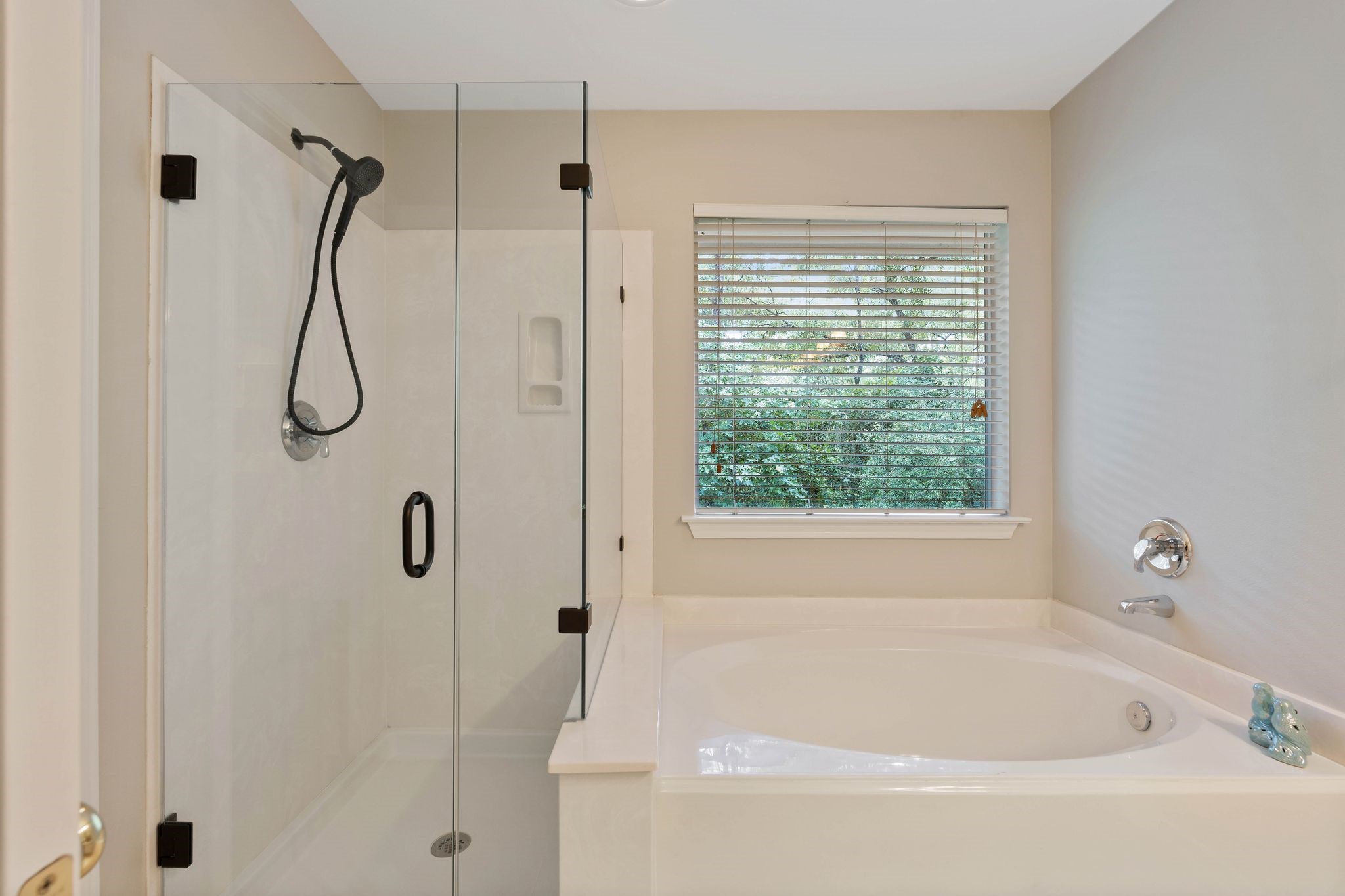 master bathroom with garden tub, separate shower