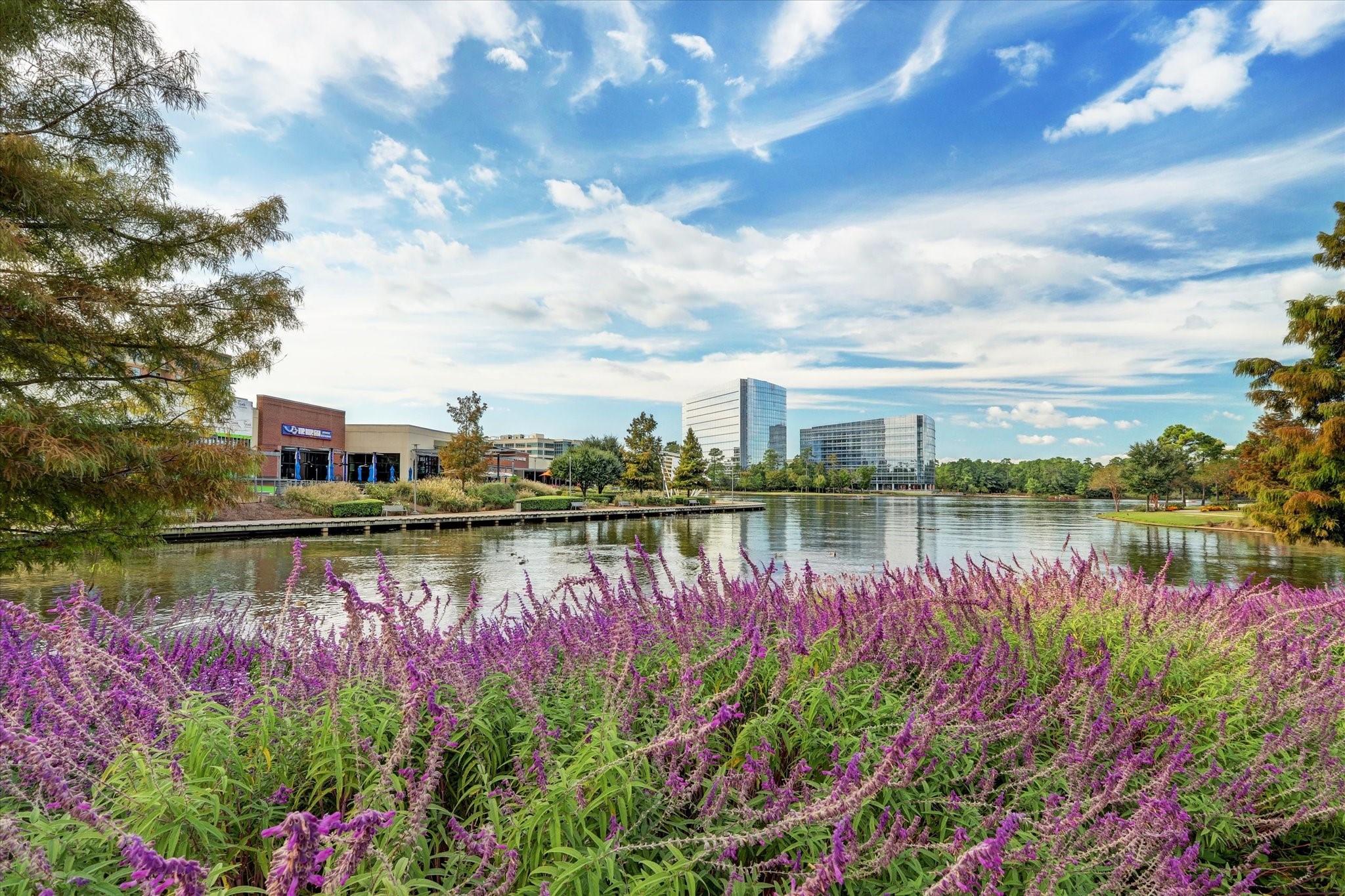 50 Leafstalk Court, The Woodlands, TX 77382