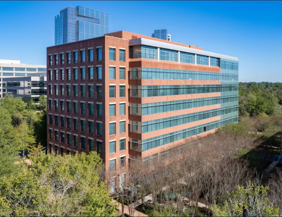 50 Leafstalk Court, The Woodlands, TX 77382