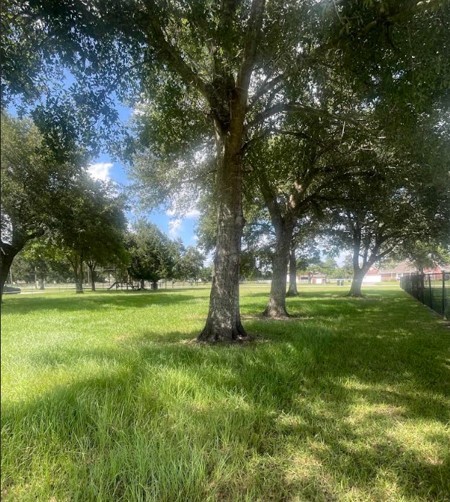 Back Right Corner of lot looking to front left corner of lot by main roadway. Back Right Corner of lot looking to front left corner of lot by main roadway.