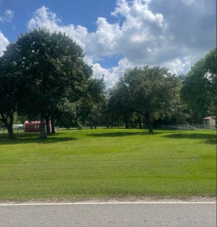 From the Road to the back of the Lot