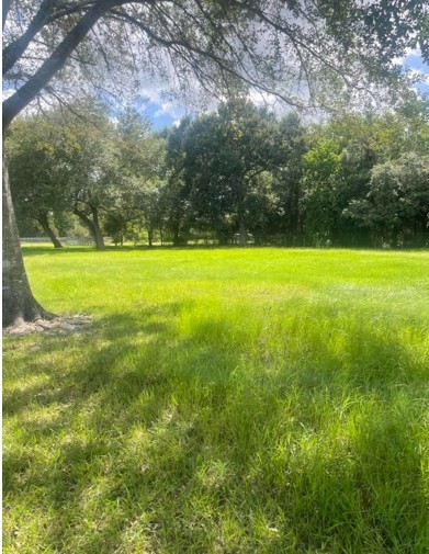 Middle of Lot to back right corner looking from main roadway to back fenceline Middle of Lot to back right corner looking from main roadway to back fenceline