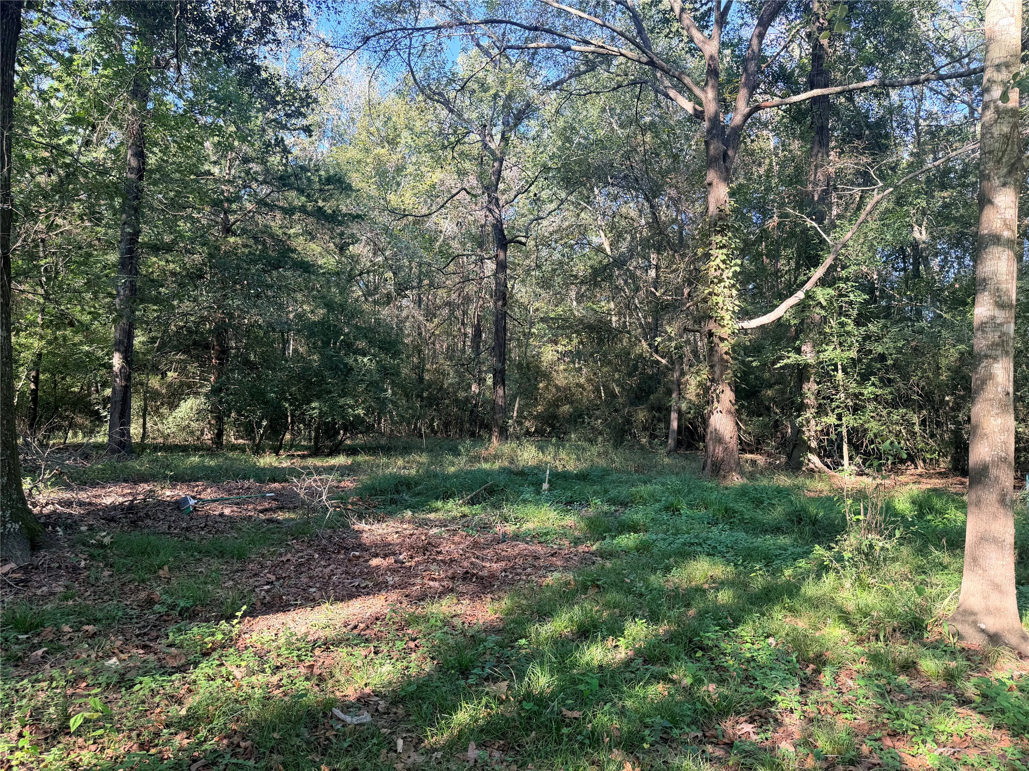 900 Mohawk Drive, #4, Montgomery, TX 77316