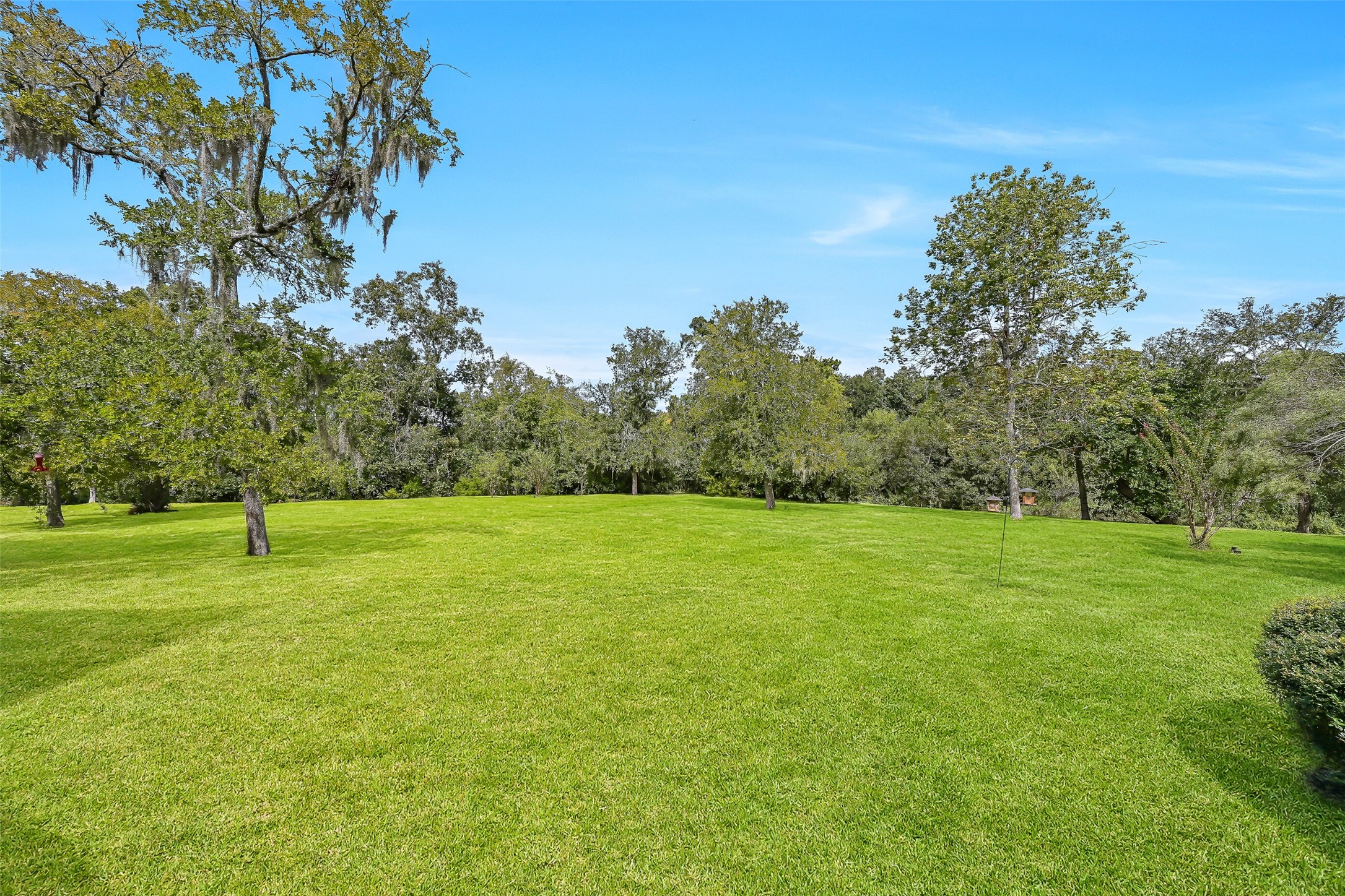 A sweeping view of the backyard showcases the remarkable amount of open grassy space surrounding this secluded home. Towering mature trees frame the property, while the expansive rear deck provides an inviting place to enjoy the views & outdoor activities throughout the year.