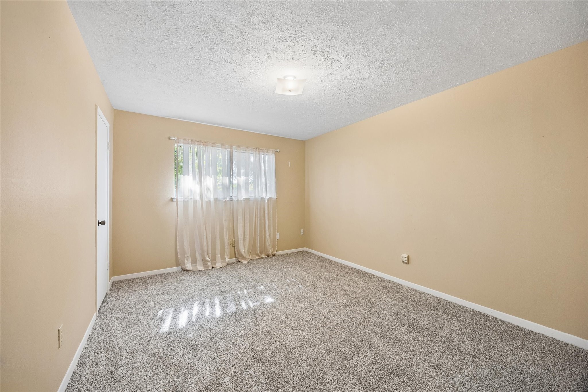 Spacious room with soft beige walls, plush carpeting, and ample natural light streaming through a large window with sheer curtains.
