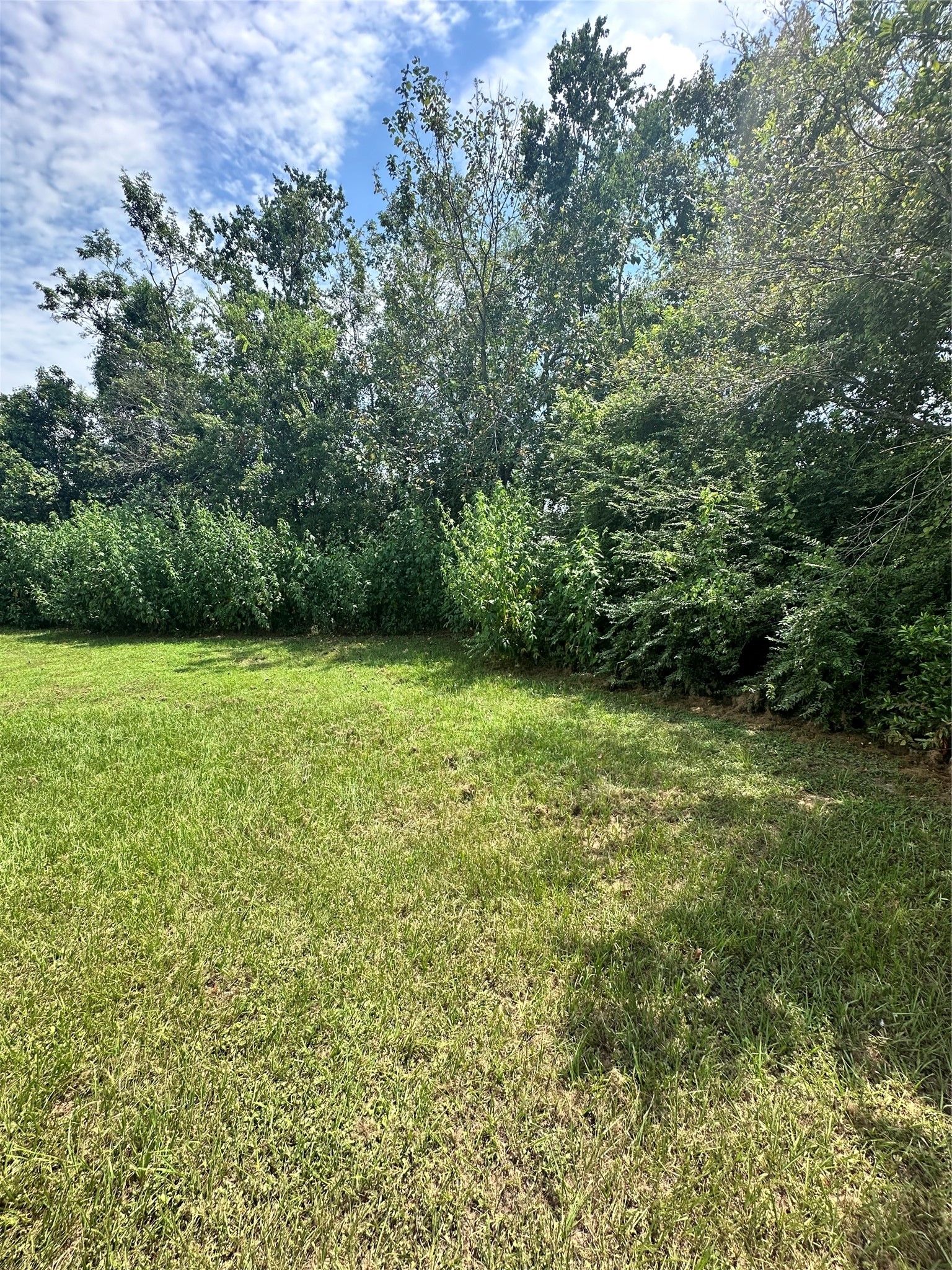 102 Lindley Street, Willis, TX 77378