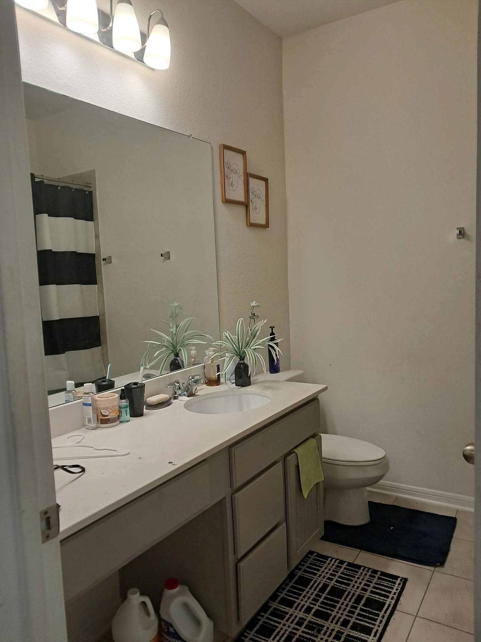 1223 Painted Bunting Drive, La Marque, TX 77568