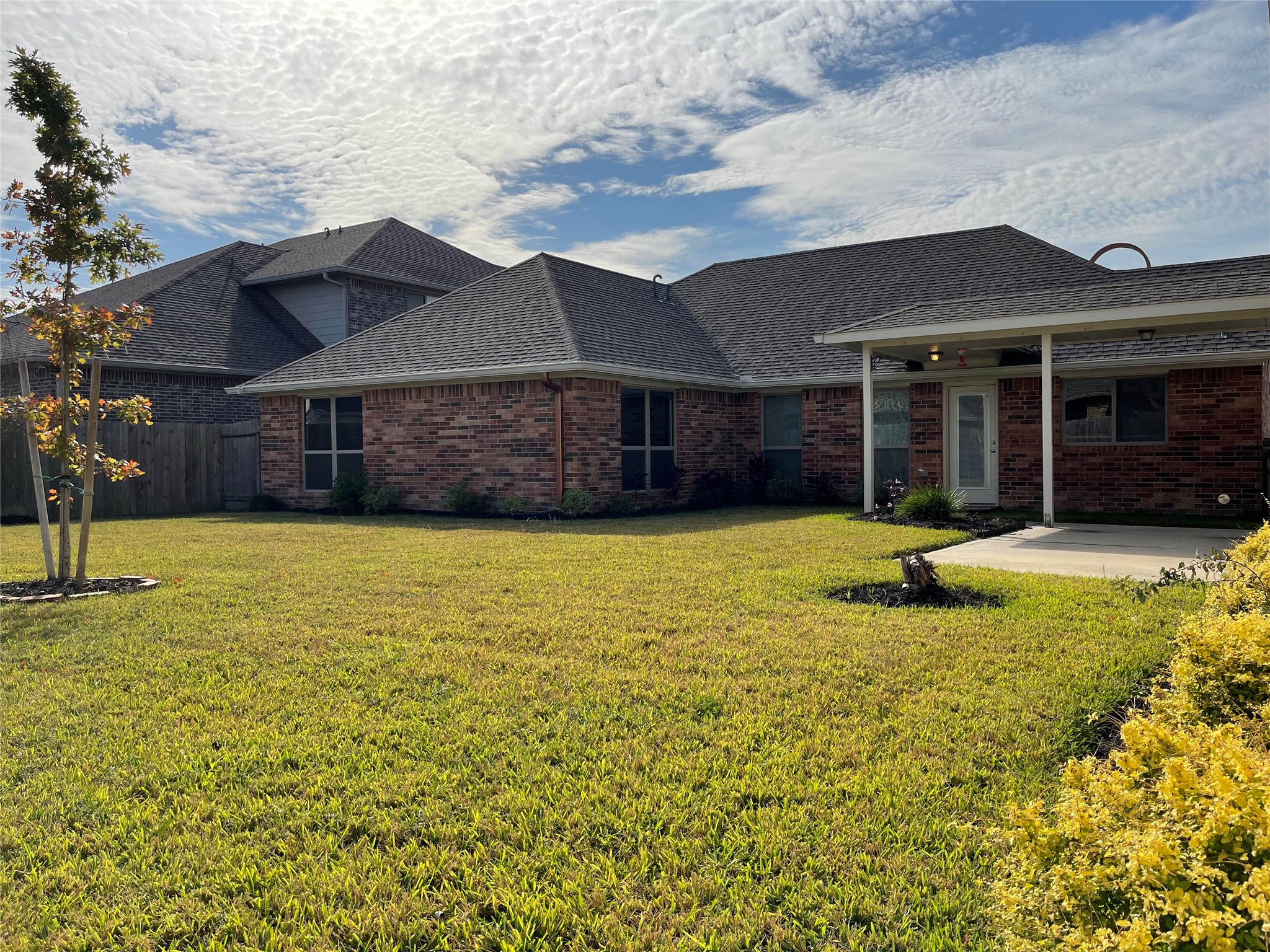 Beautiful spacious back yard