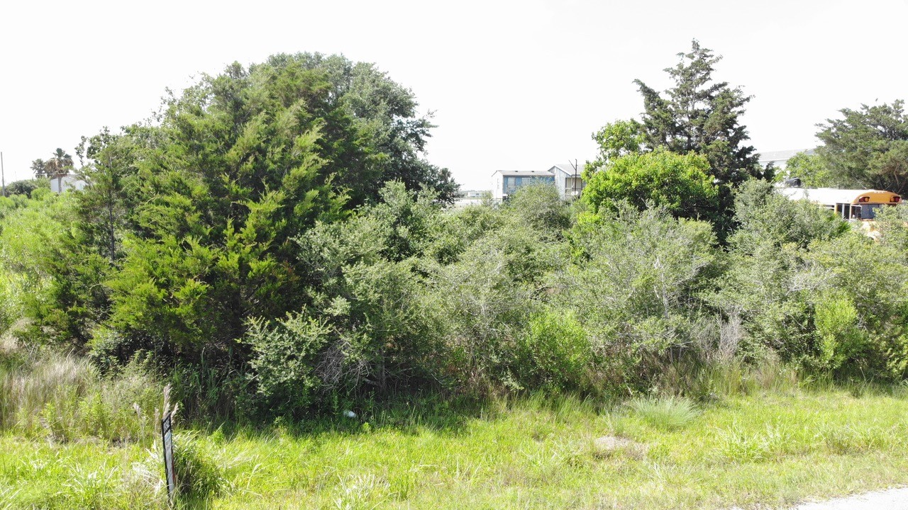 O Schlitz, Hitchcock, TX 77563