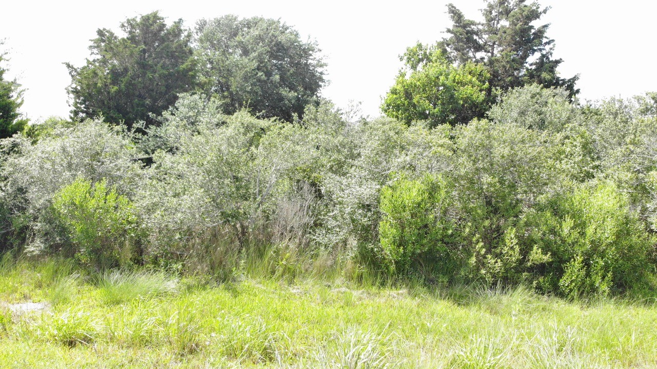 O Schlitz, Hitchcock, TX 77563