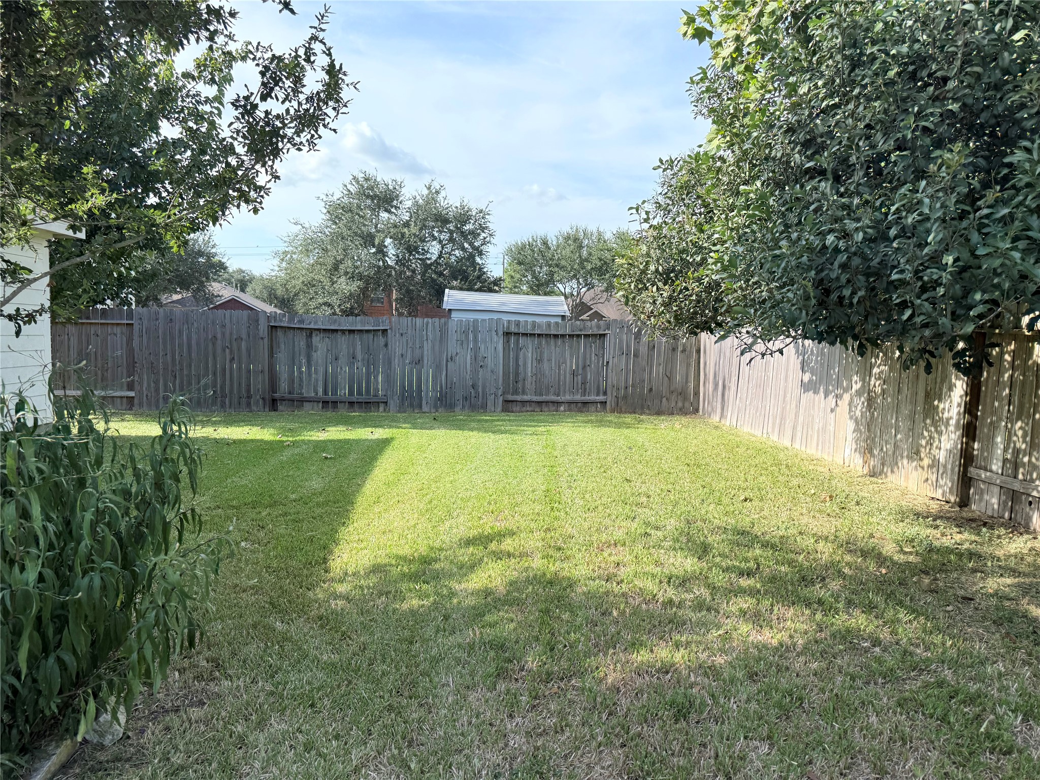 Spacious fenced backyard with lush green lawn and mature trees, perfect for outdoor activities and relaxation.