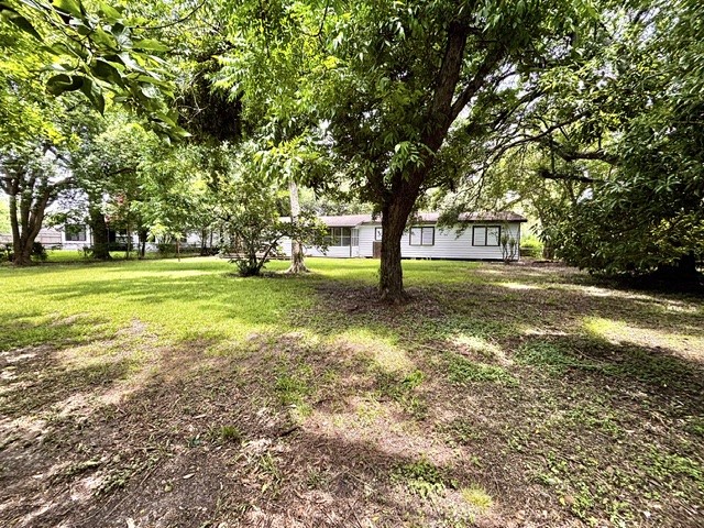 Spacious back yard. Fully fenced.