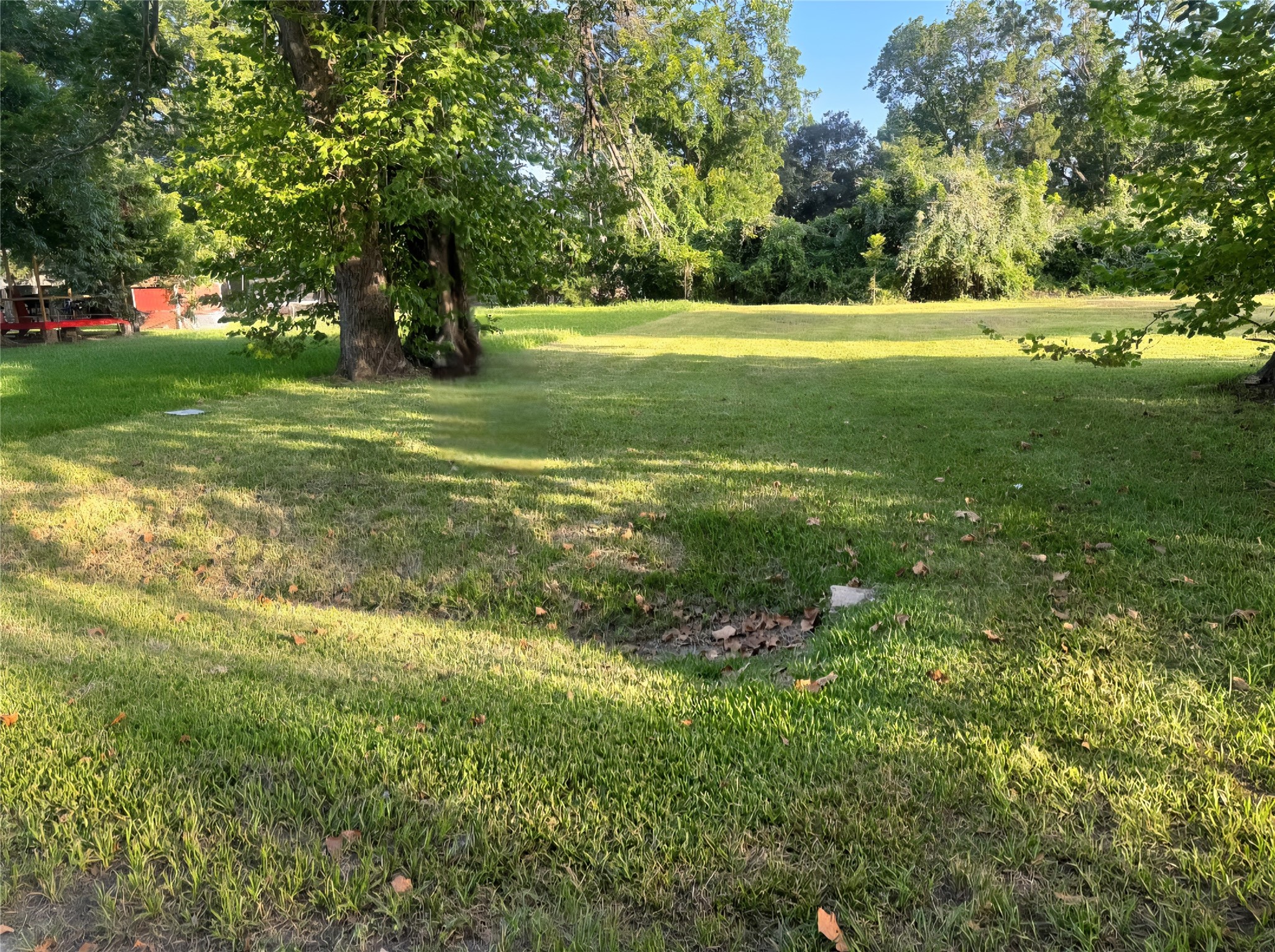 1421 W Lobitt Street, Alvin, TX 77511