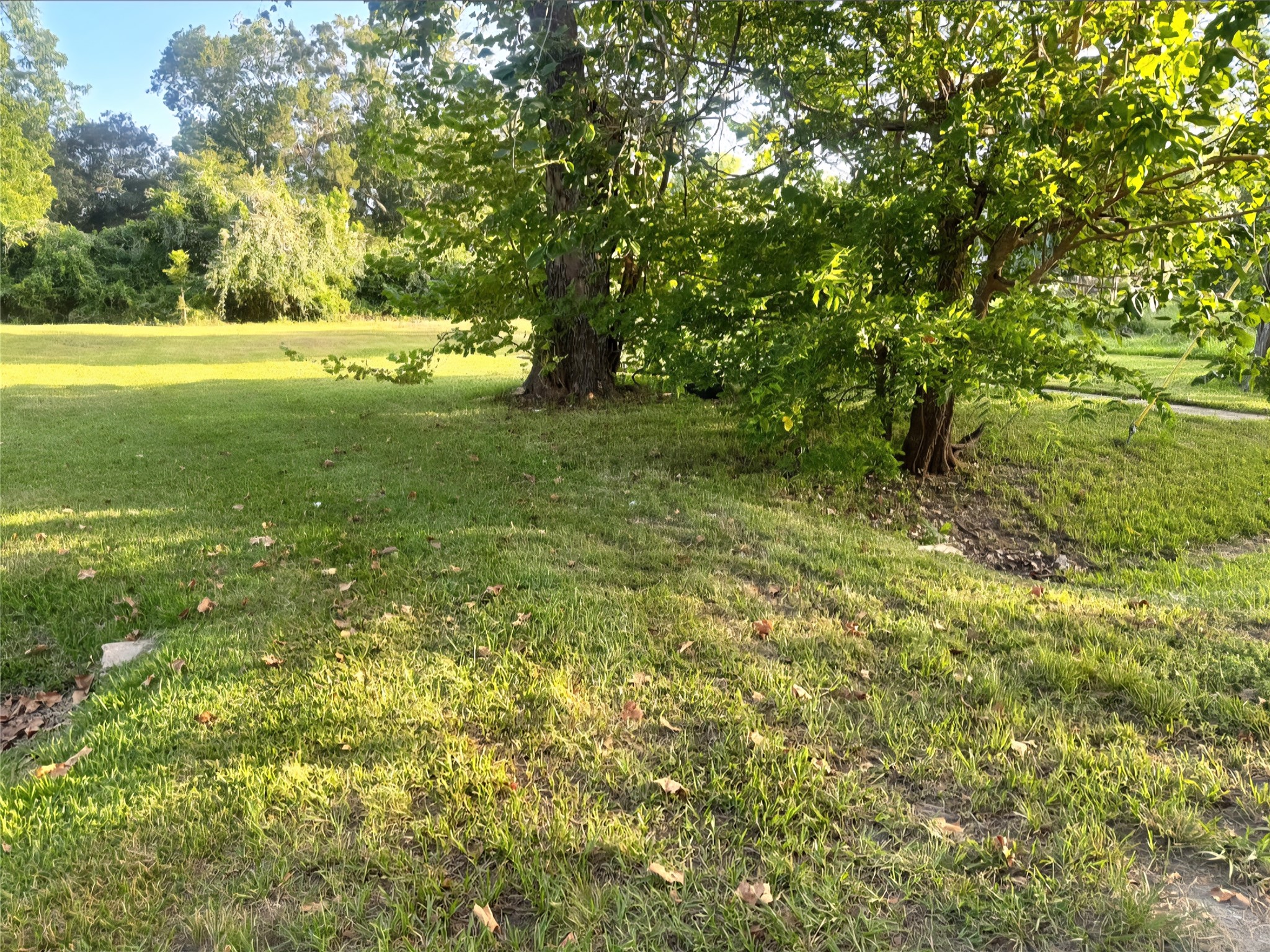 1421 W Lobitt Street, Alvin, TX 77511