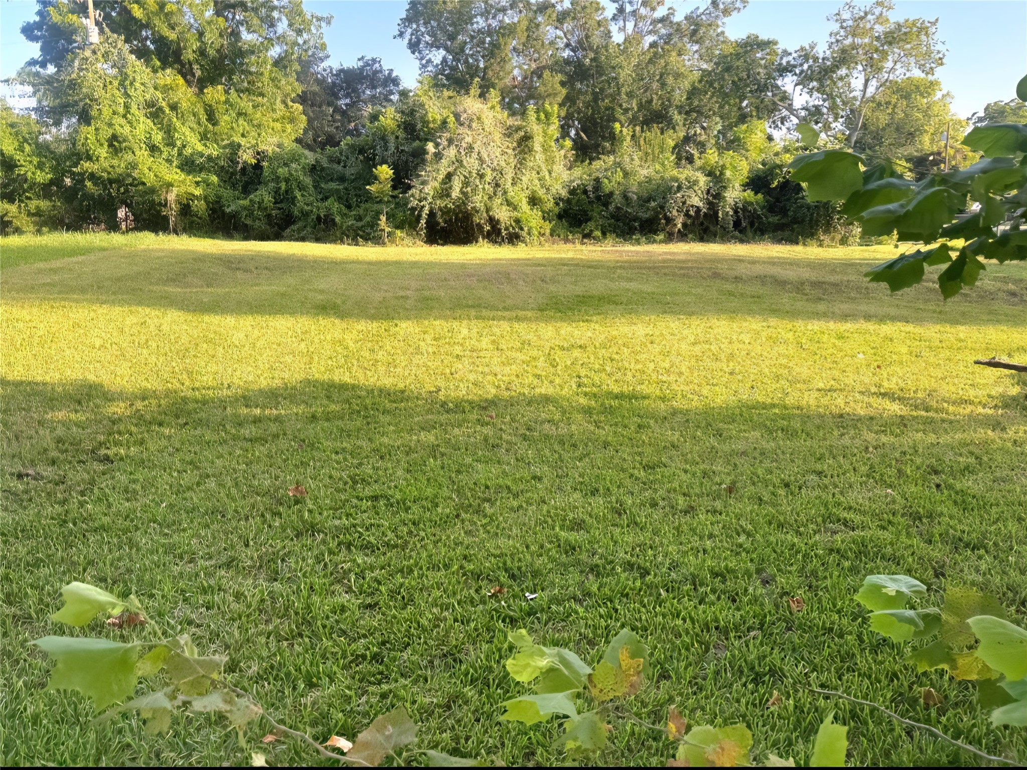 1421 W Lobitt Street, Alvin, TX 77511