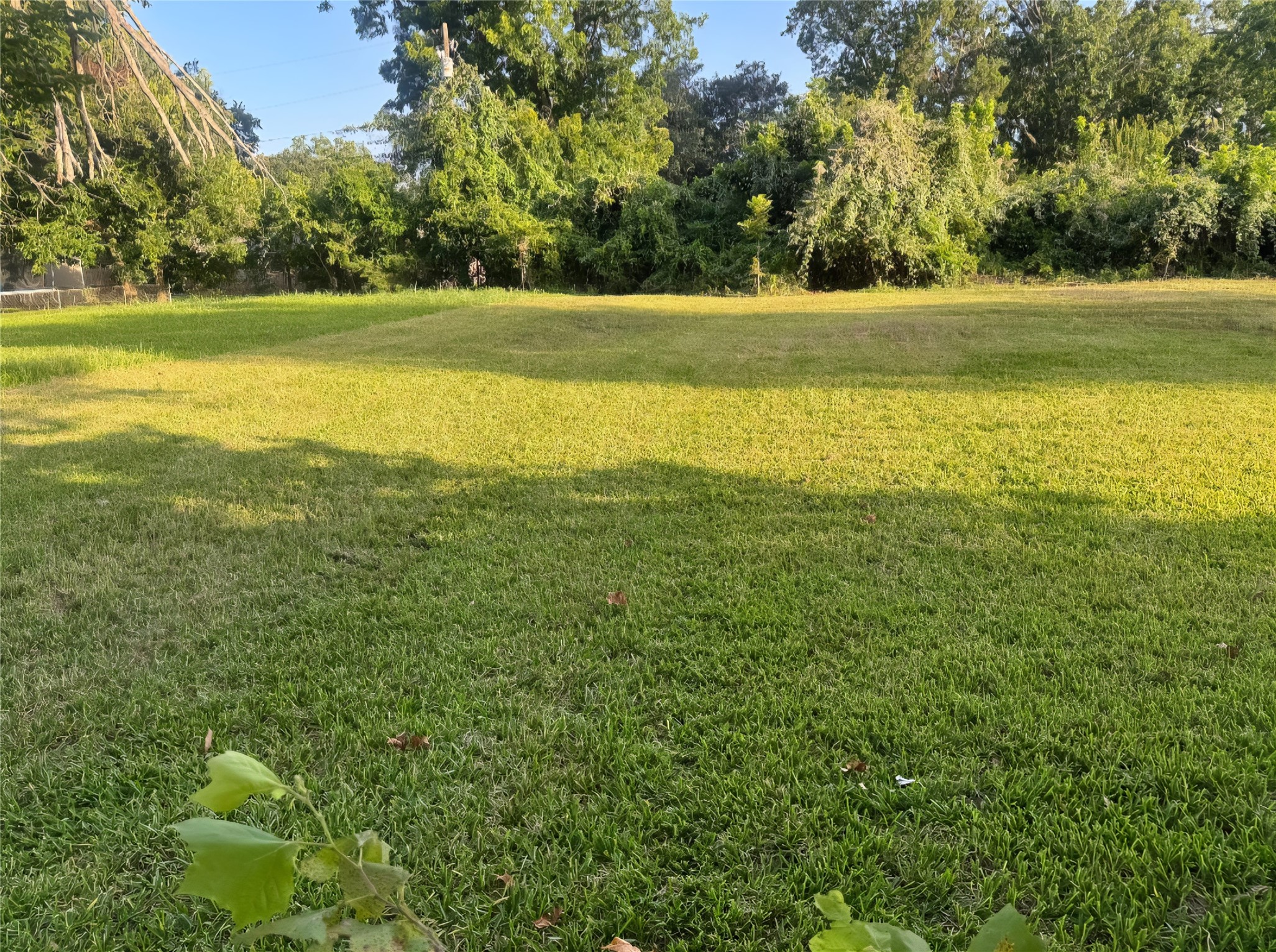 1421 W Lobitt Street, Alvin, TX 77511 1421 W Lobitt Street, Alvin, TX 77511