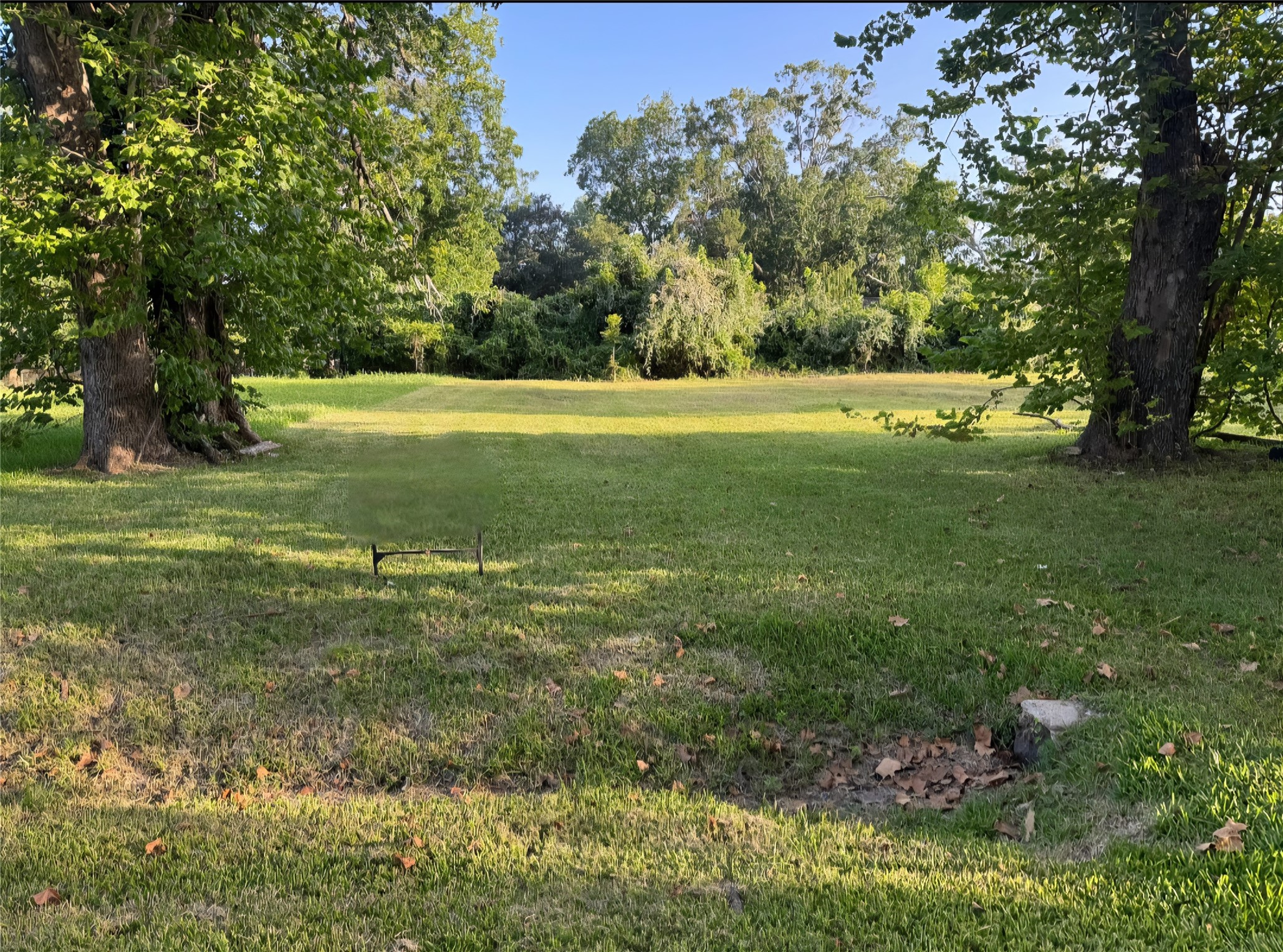 1421 W Lobitt Street, Alvin, TX 77511
