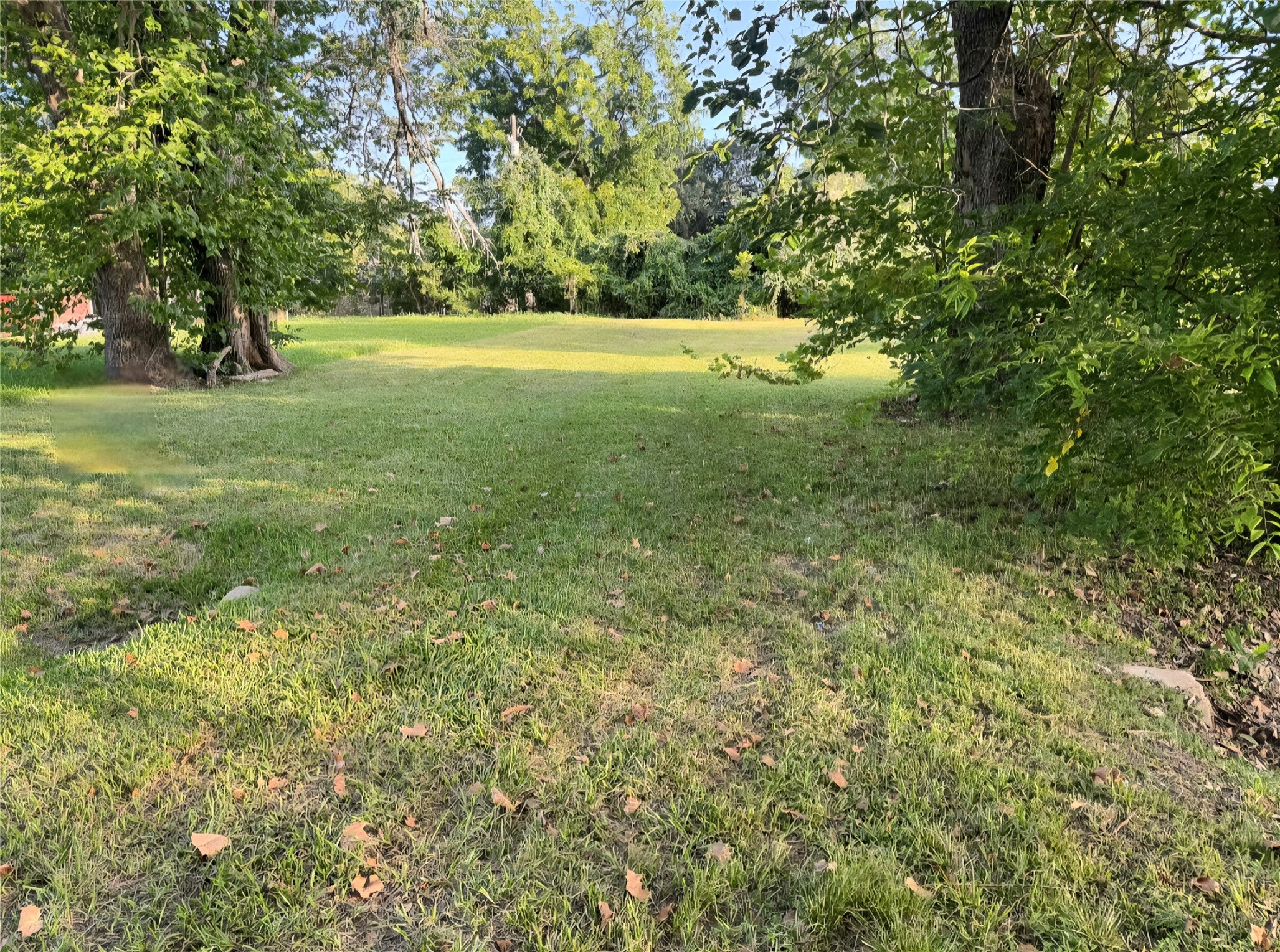 1421 W Lobitt Street, Alvin, TX 77511