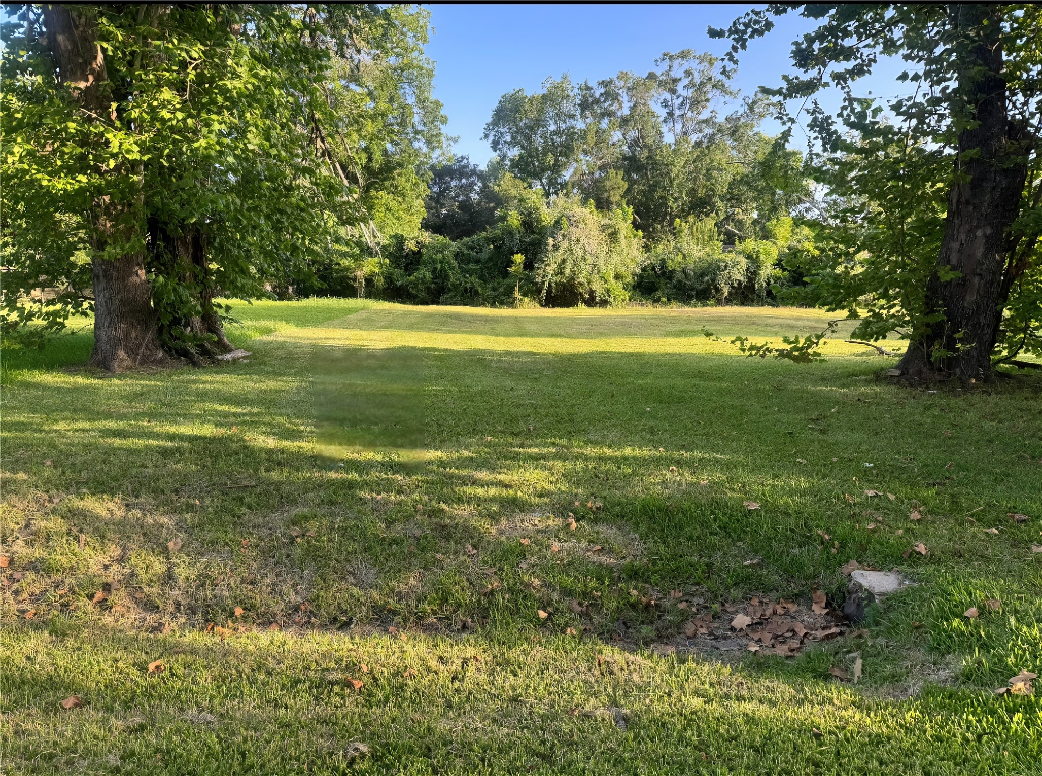 1421 W Lobitt Street, Alvin, TX 77511