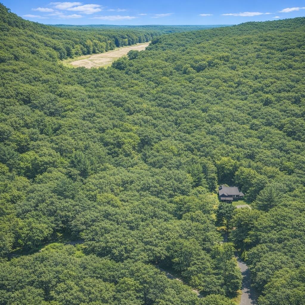 TBD 3 Acres Cardinal Drive, Magnolia, TX 77447