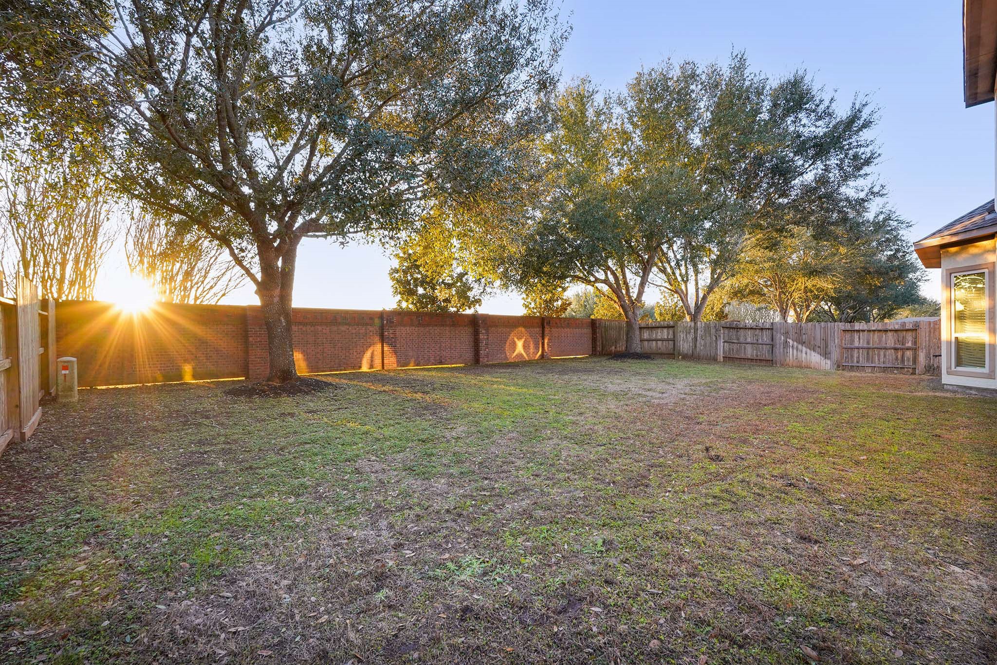 The backyard bordered by a wooden and brick fence. Mature trees provide shade, and the setting sun casts a warm glow, creating a peaceful atmosphere.