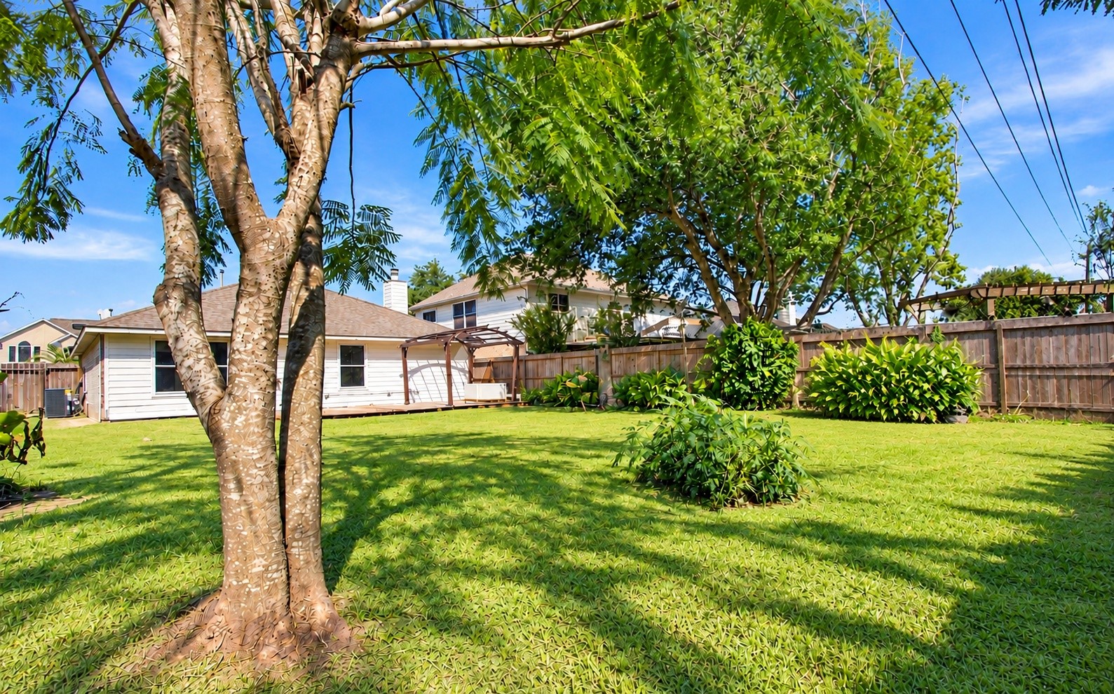 An angle of the backyard!