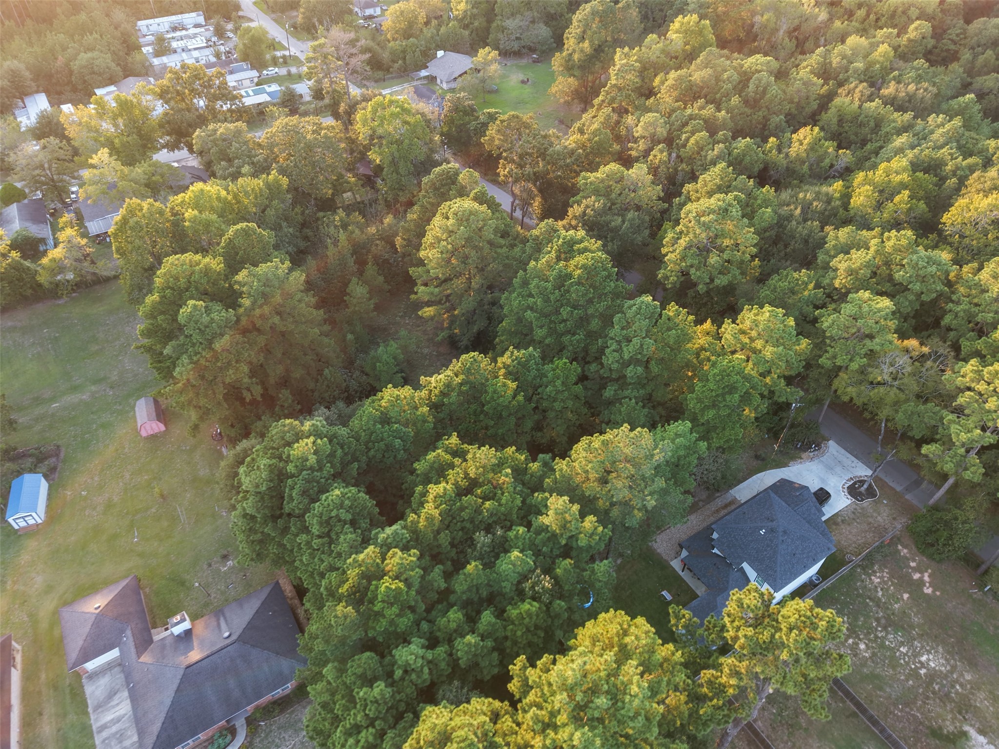 1509 White Rd, Conroe, TX 77304