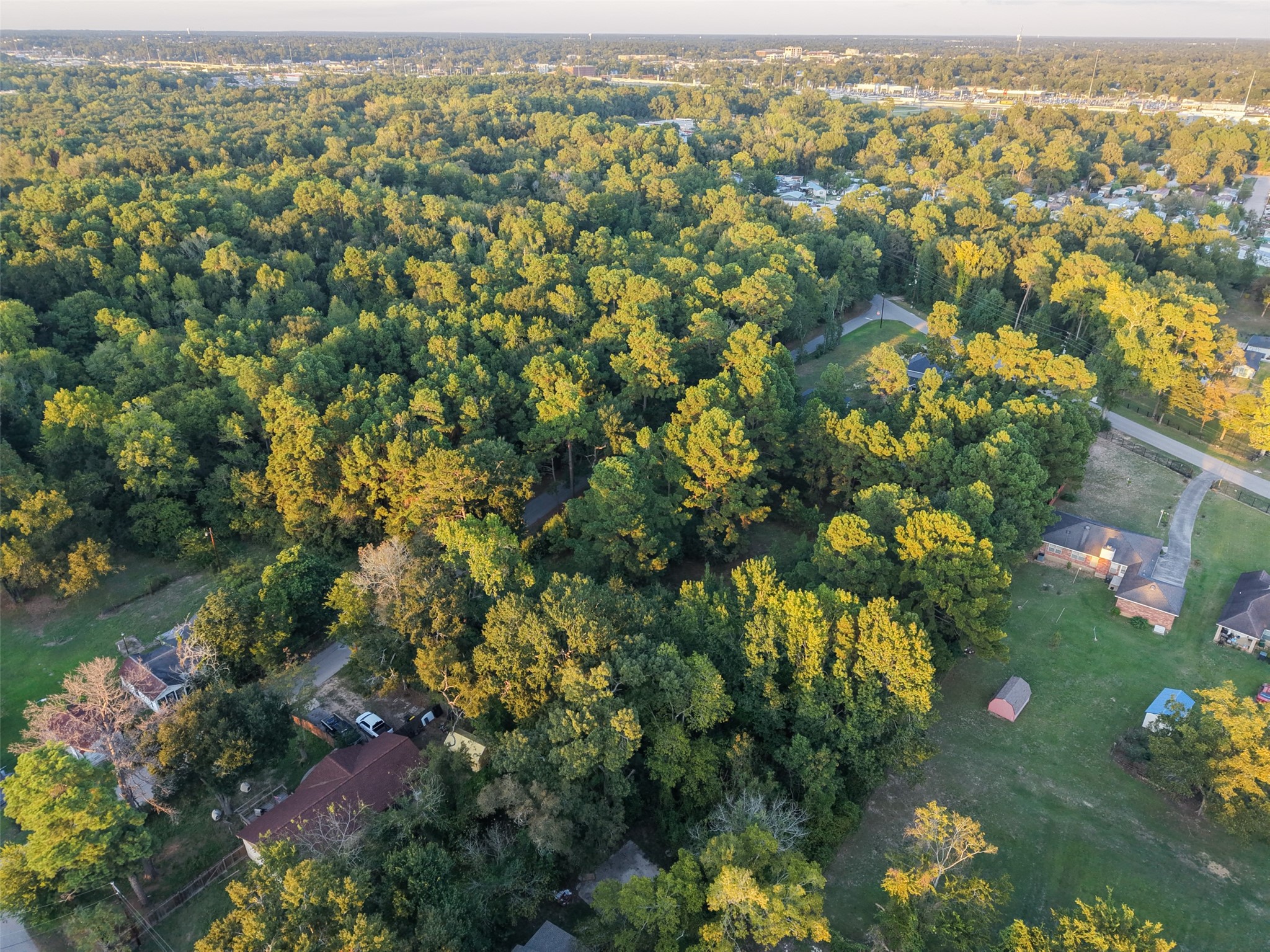 1509 White Rd, Conroe, TX 77304