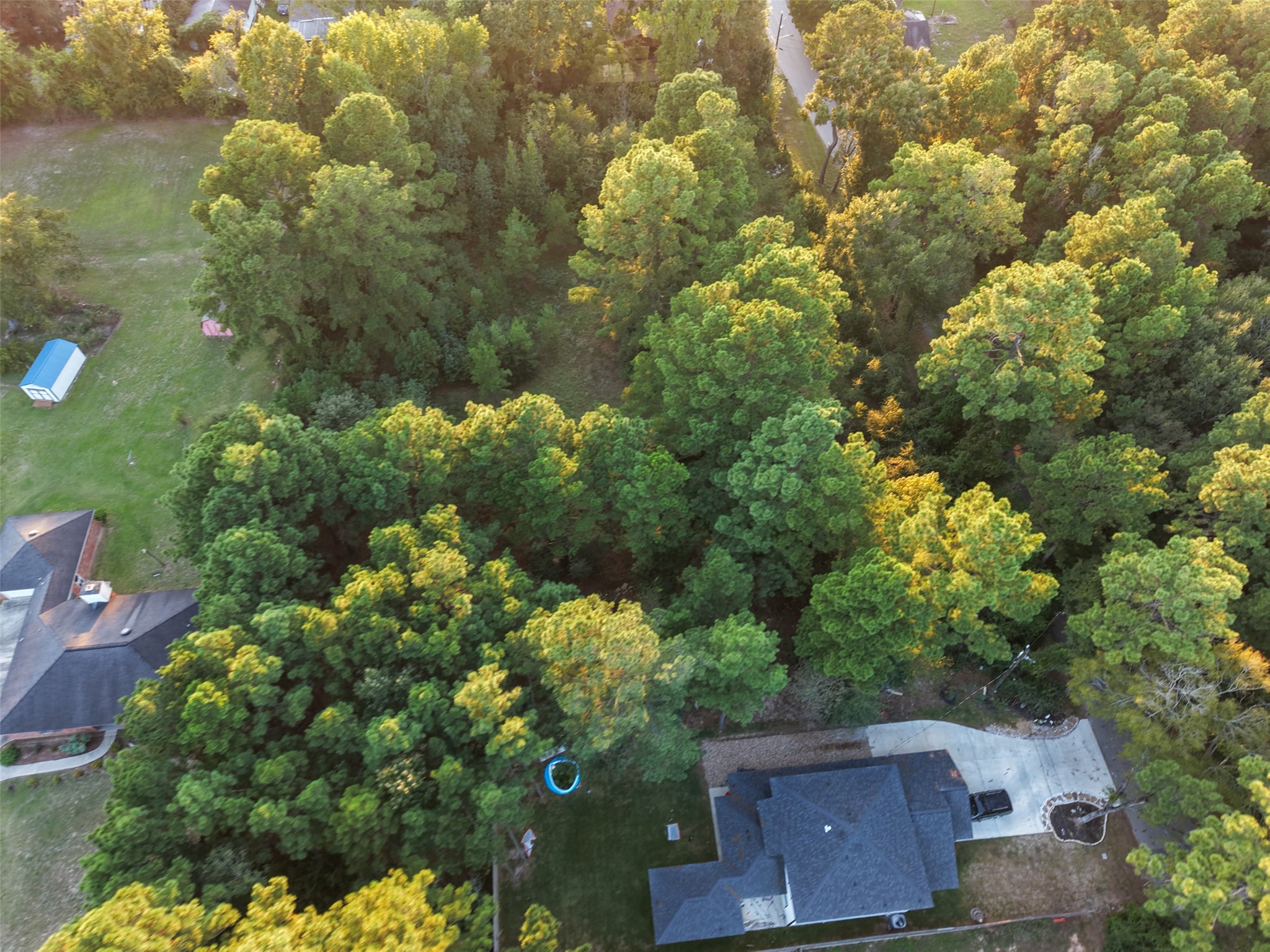 1509 White Rd, Conroe, TX 77304