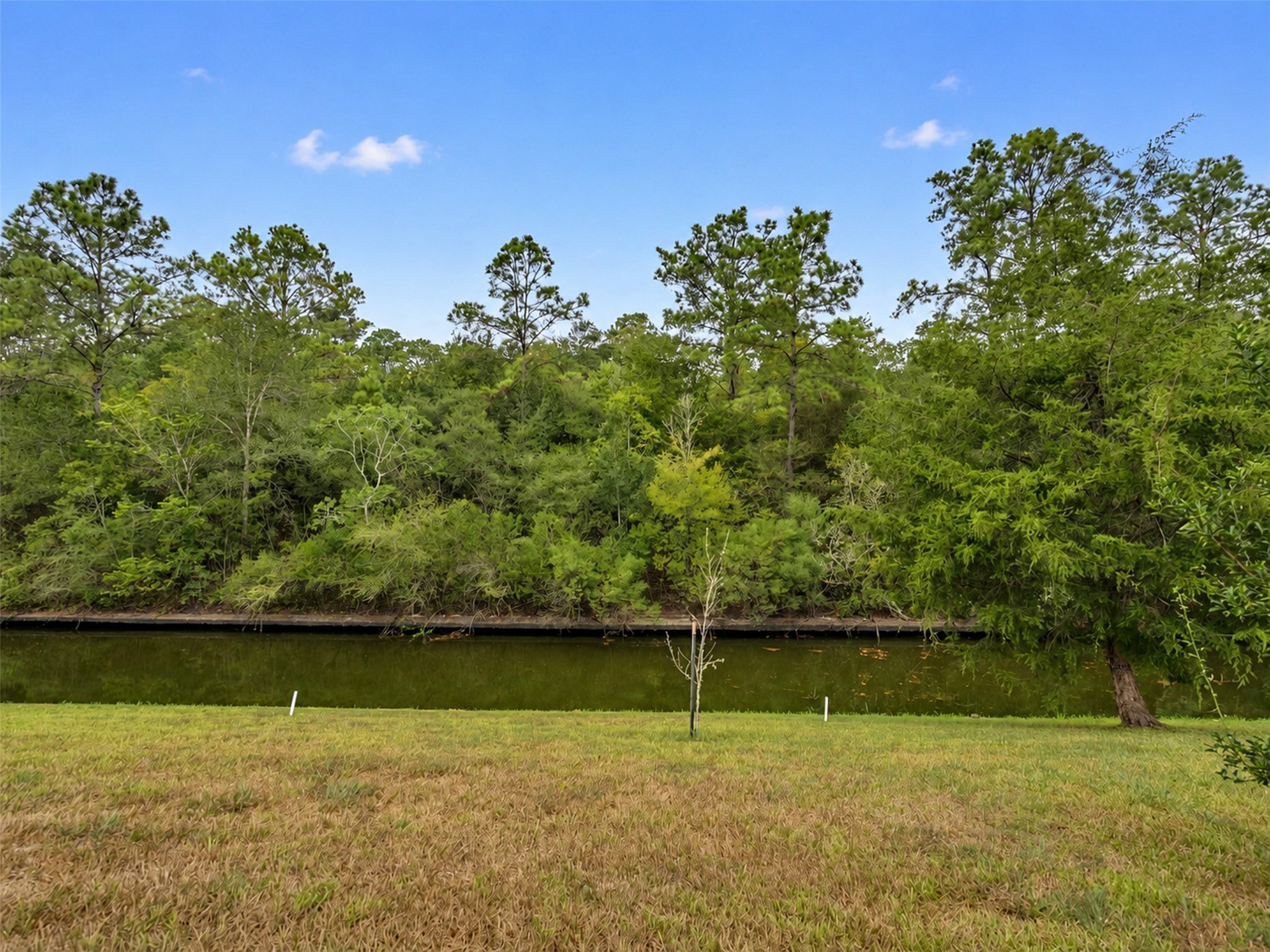 Canal- great for fishing!