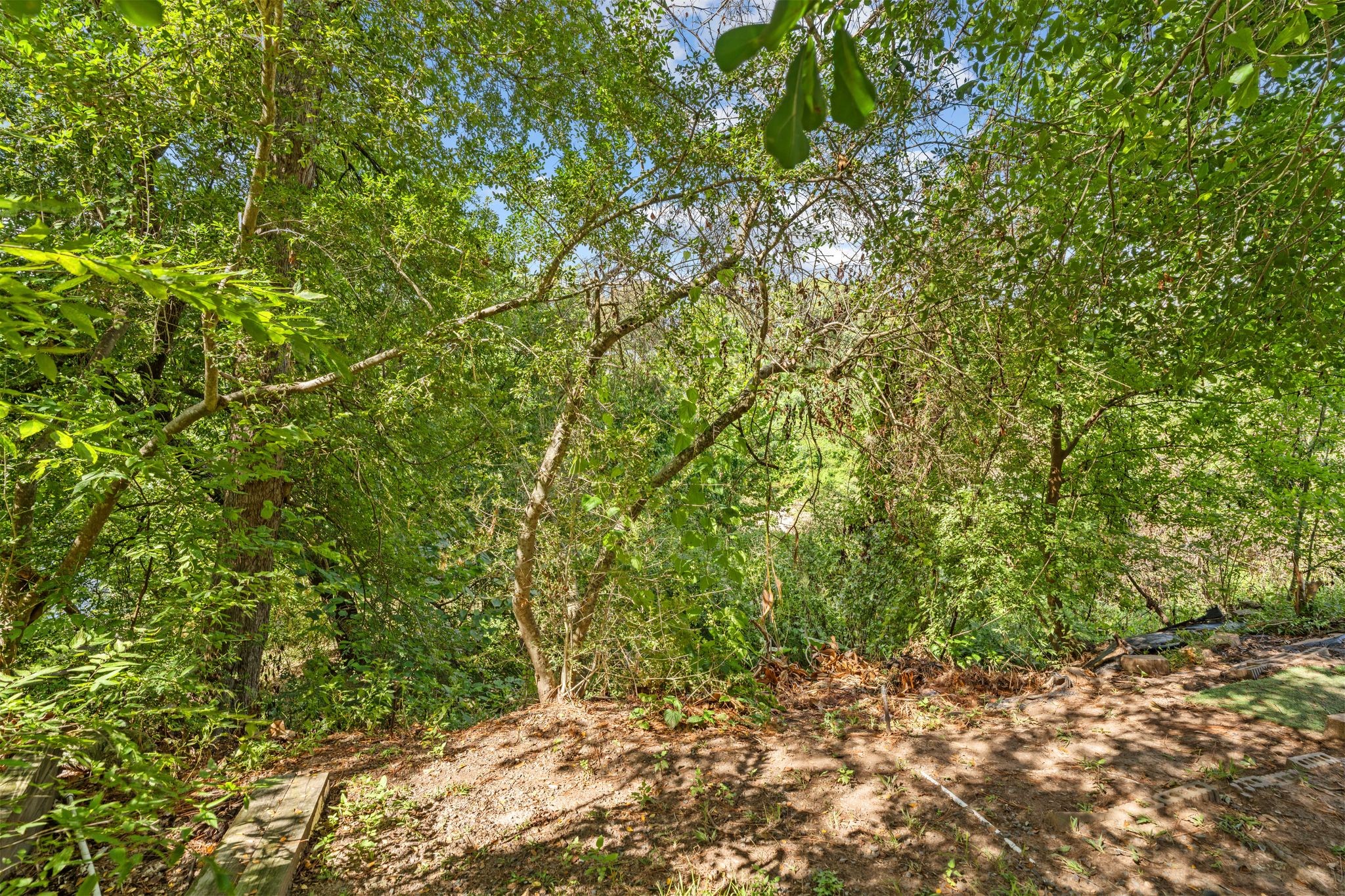 Mature trees and lush greenery along the bayou create a peaceful natural backdrop behind the home.