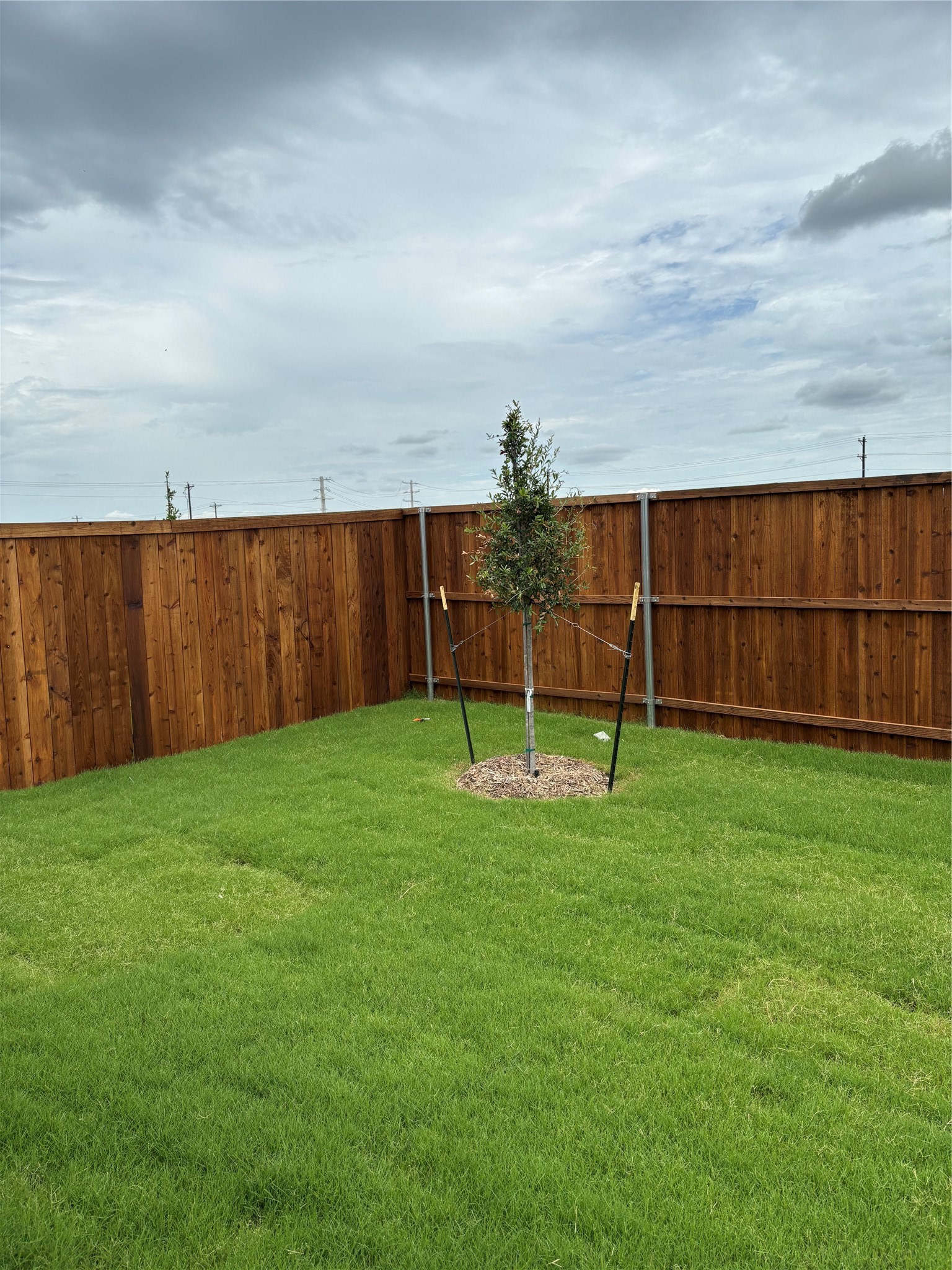 31219 Peonia Lilla Lane, Huffman, TX 77336