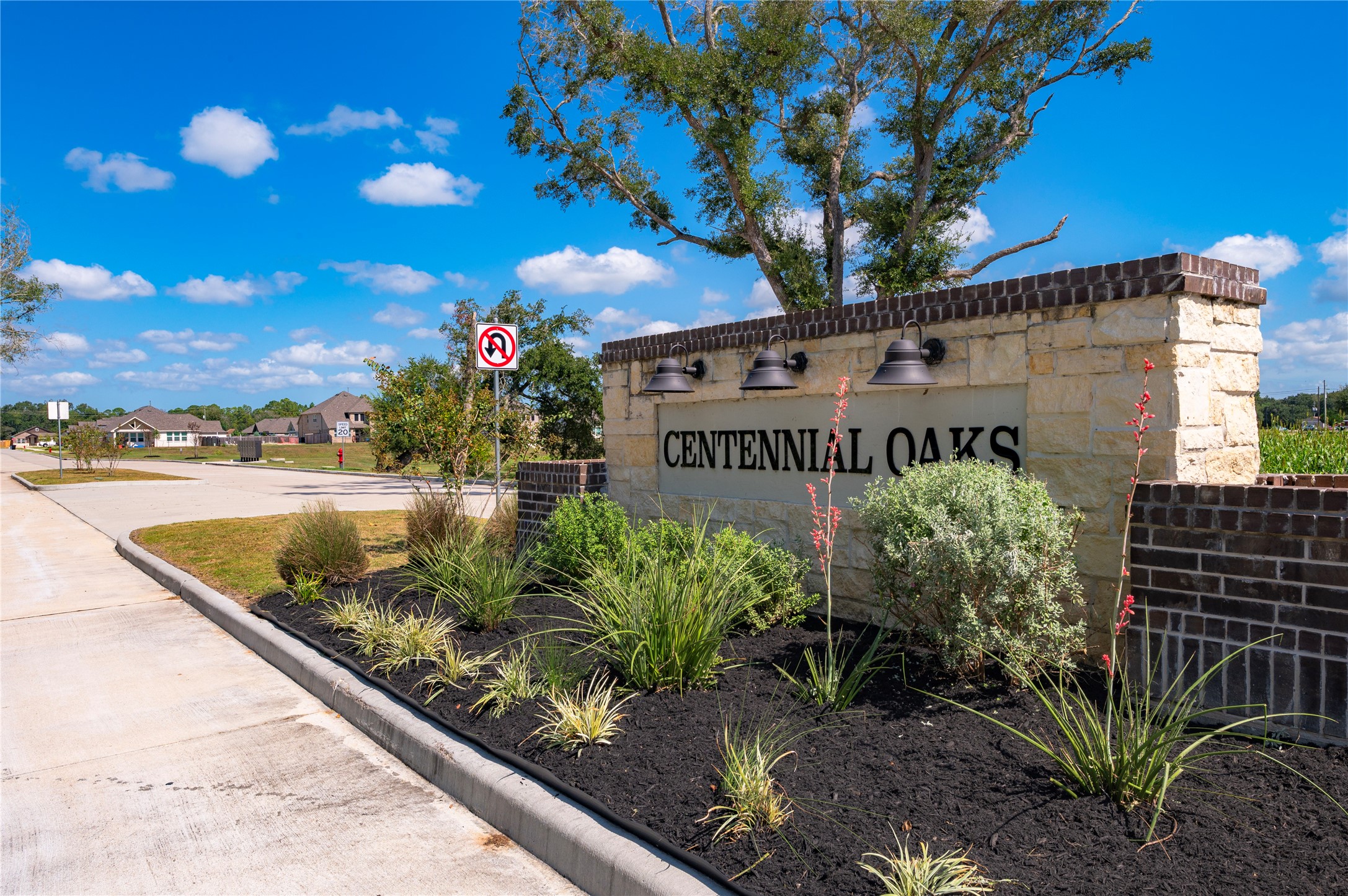 3926 Bur Oak Drive, Santa Fe, TX 77517