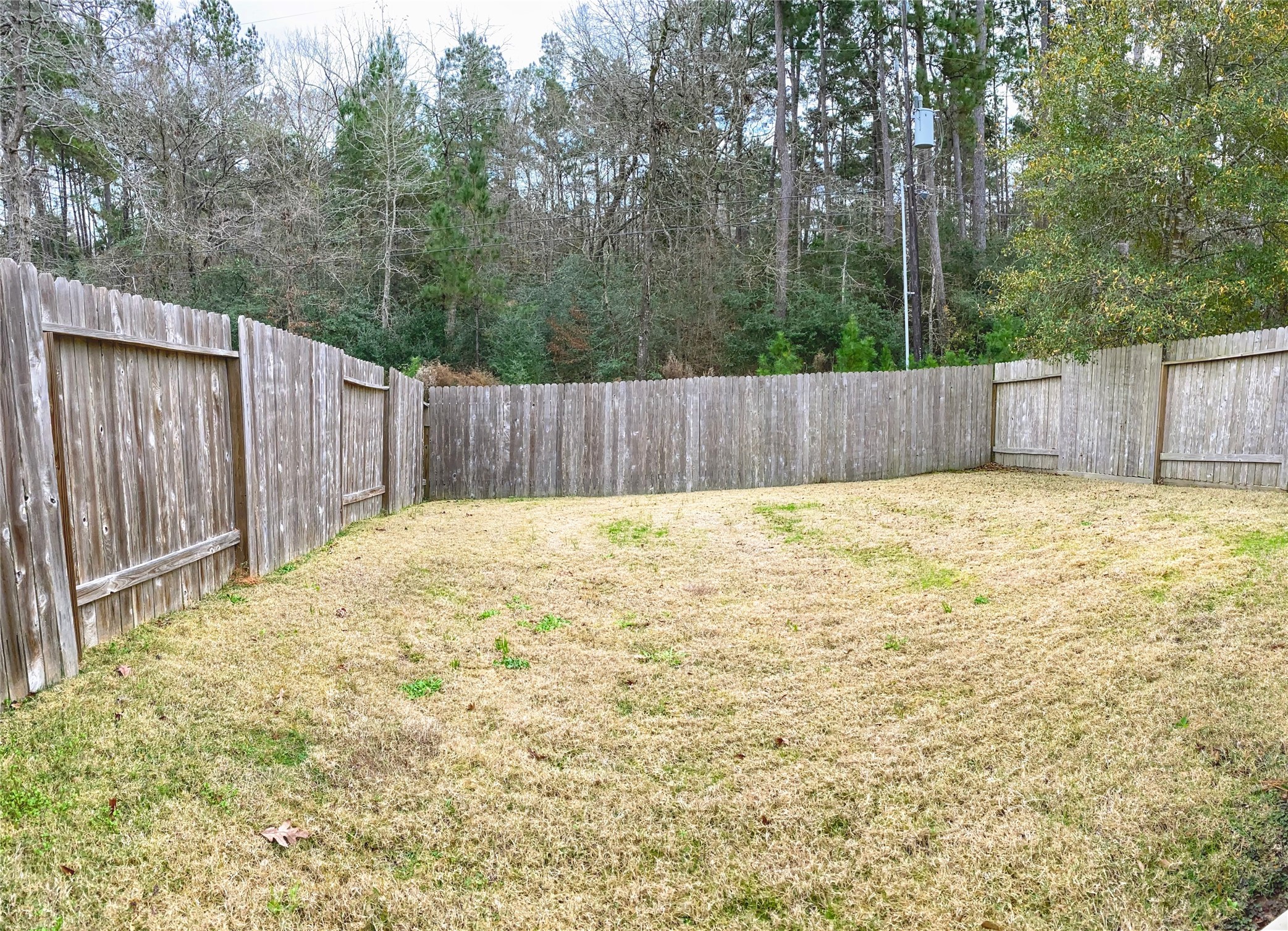 Not actual backyard but a representation.