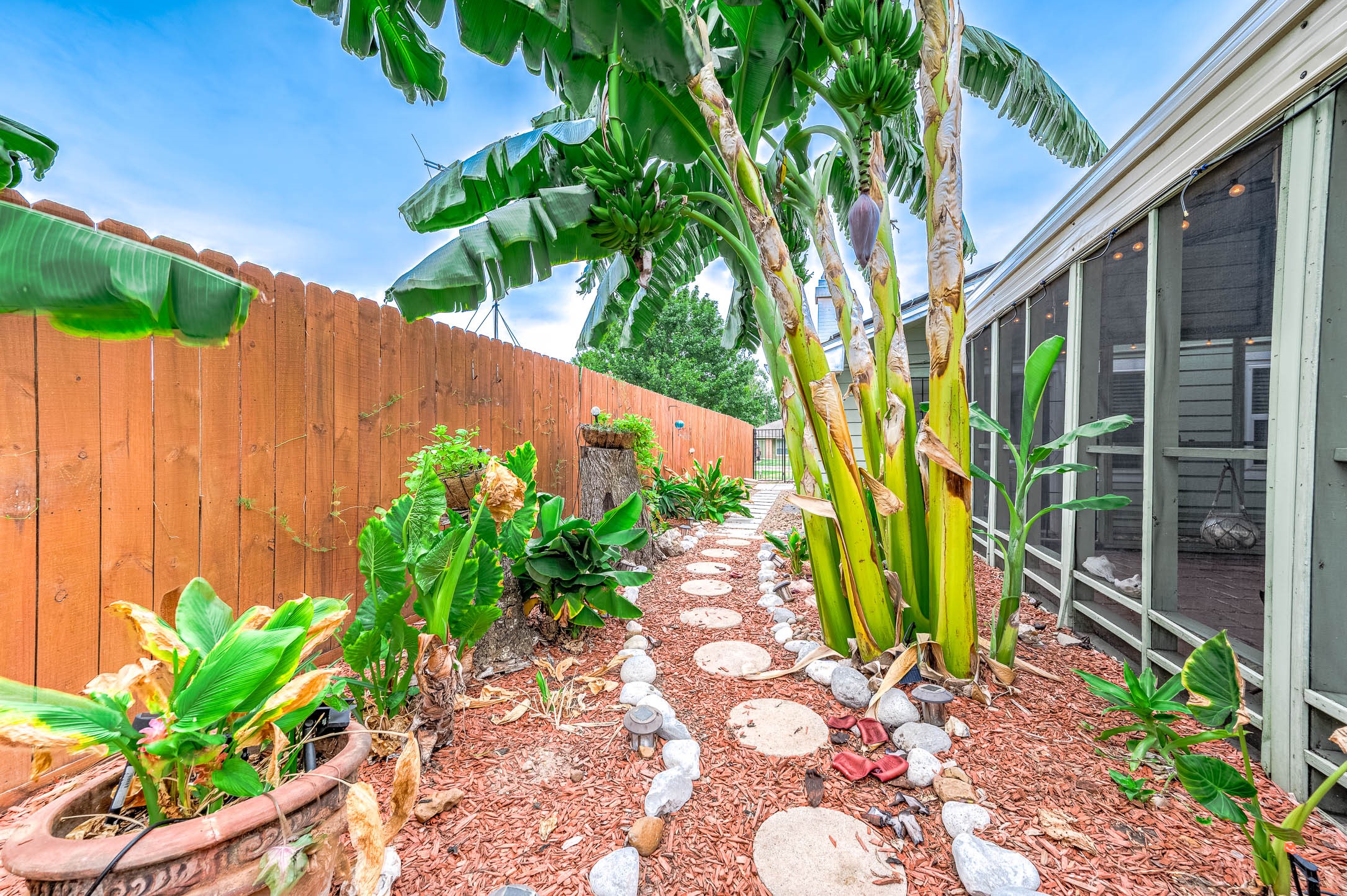 Landscaped side yard with tropical plantings.