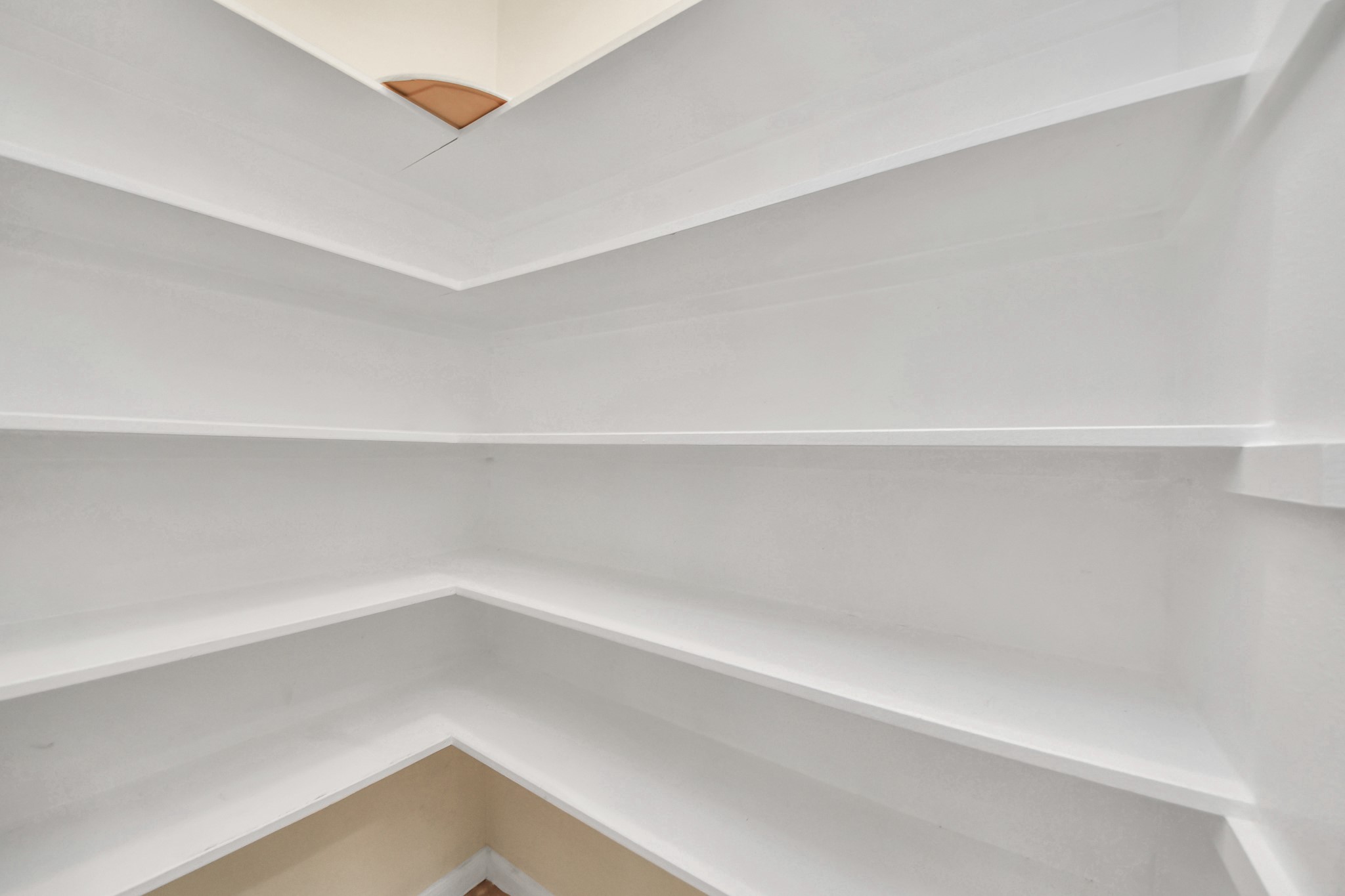 Spacious Pantry