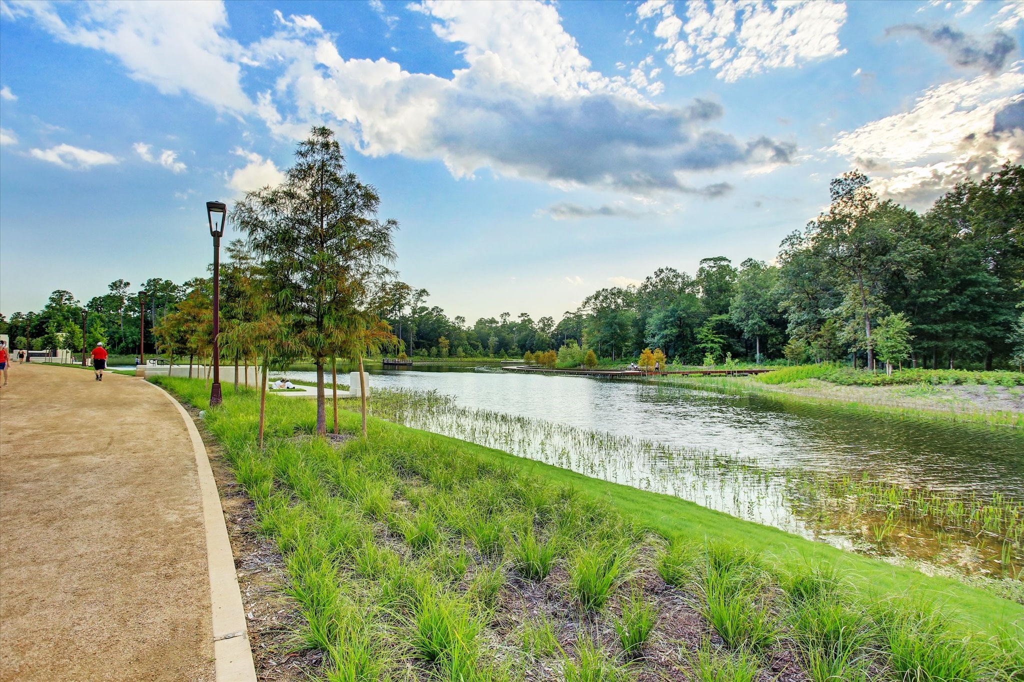 Another view of Memorial Park Eastern Glades walking trail and scenic views!