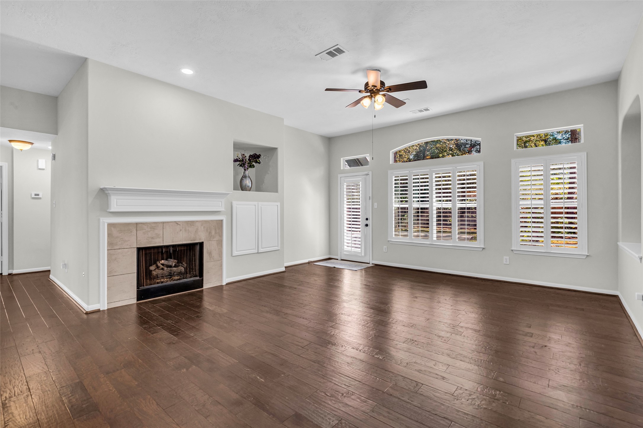 Gas Log Fireplace and built-ins for media equipment or artwork